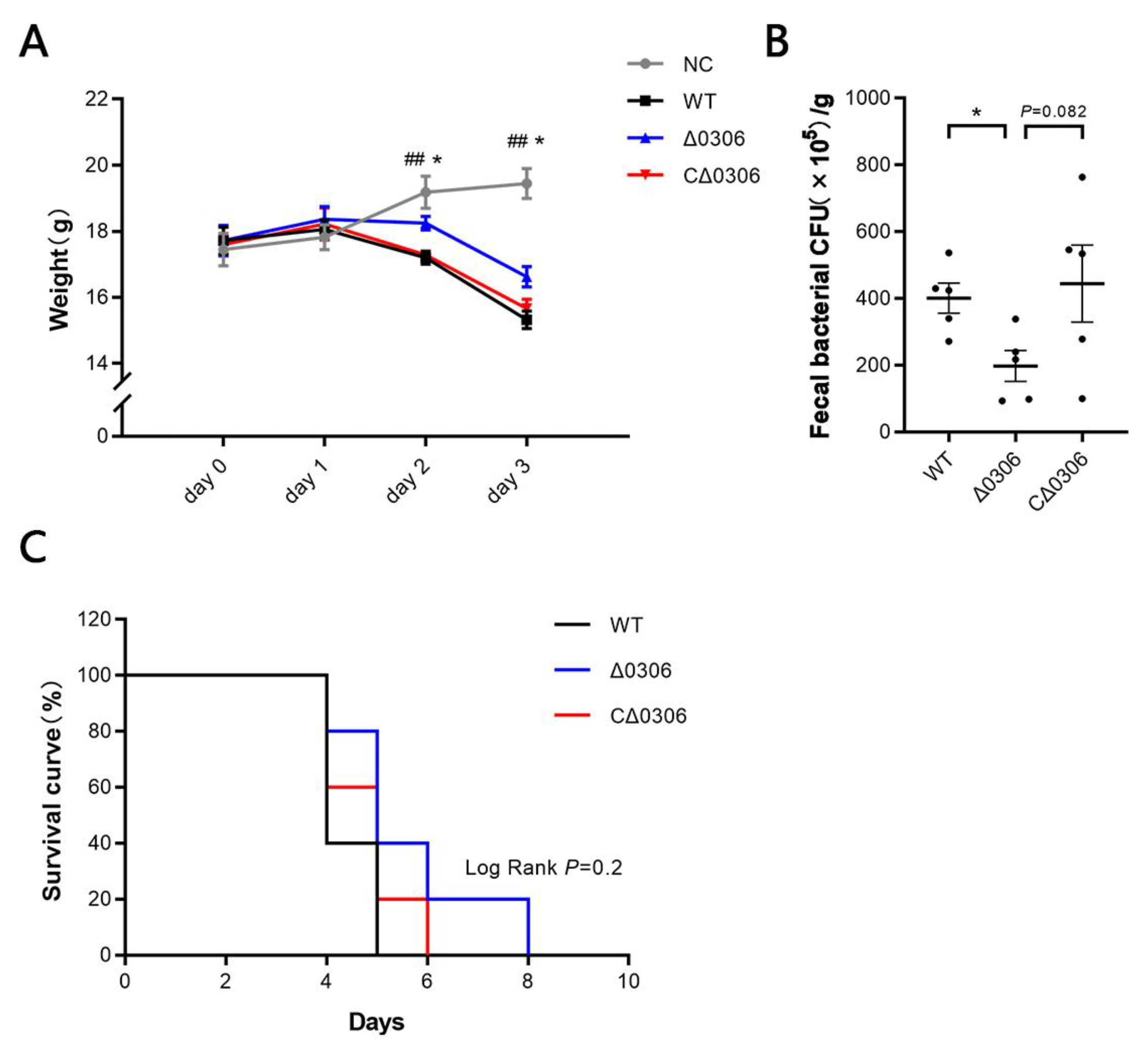 Ijms 24 08170 g007 Ijms 24 08170 g007