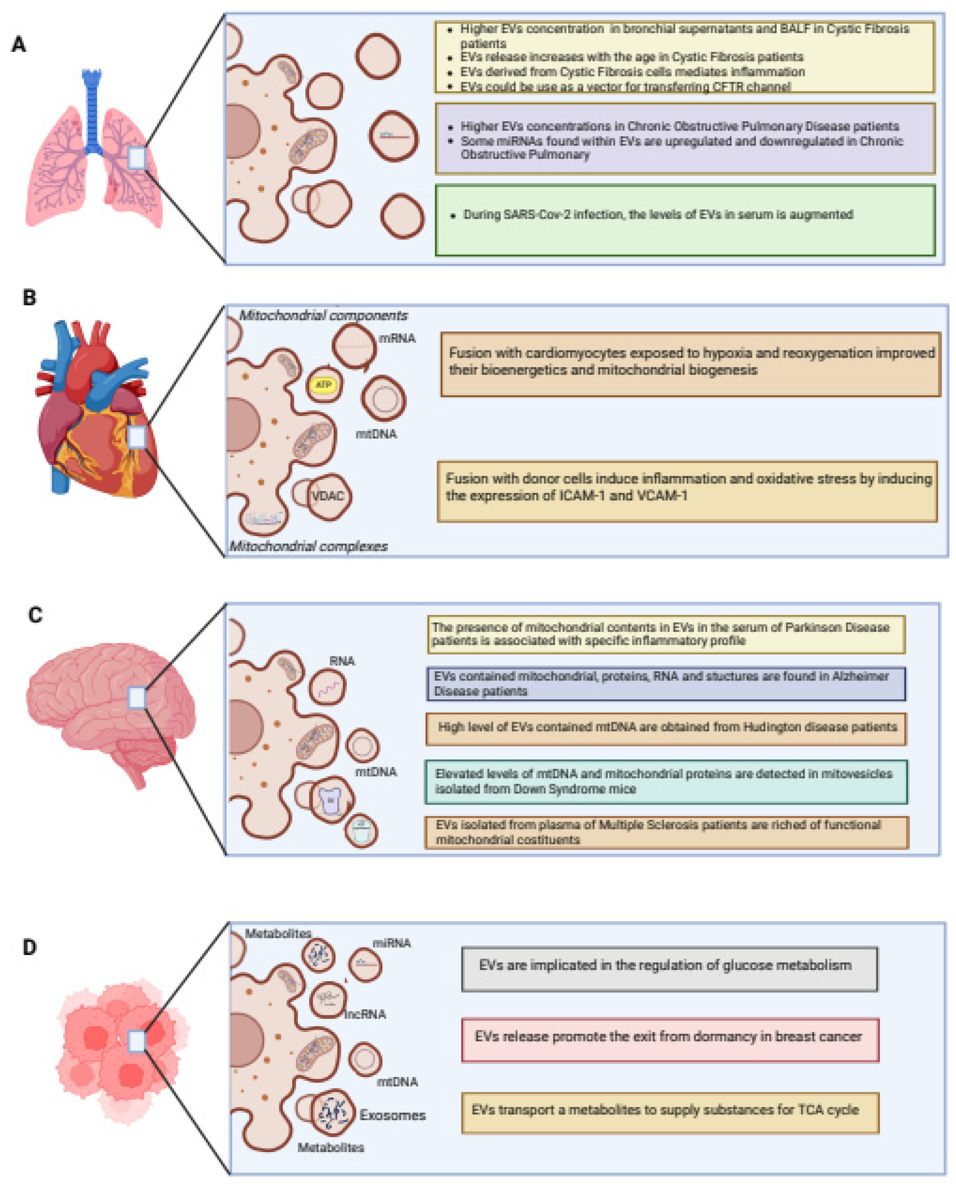 Ijms 24 08181 g003 Ijms 24 08181 g003