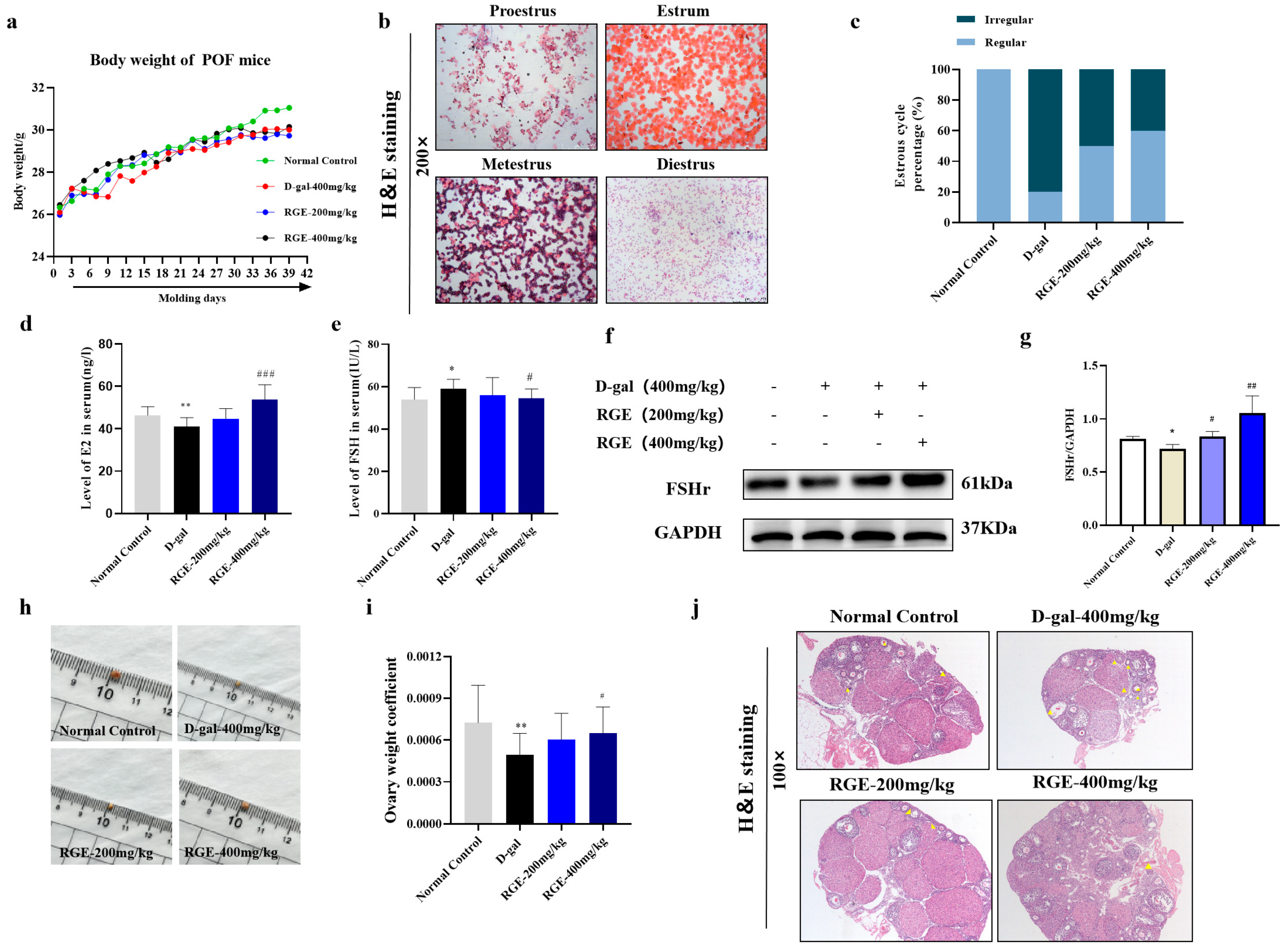 Ijms 24 08210 g002 Ijms 24 08210 g002
