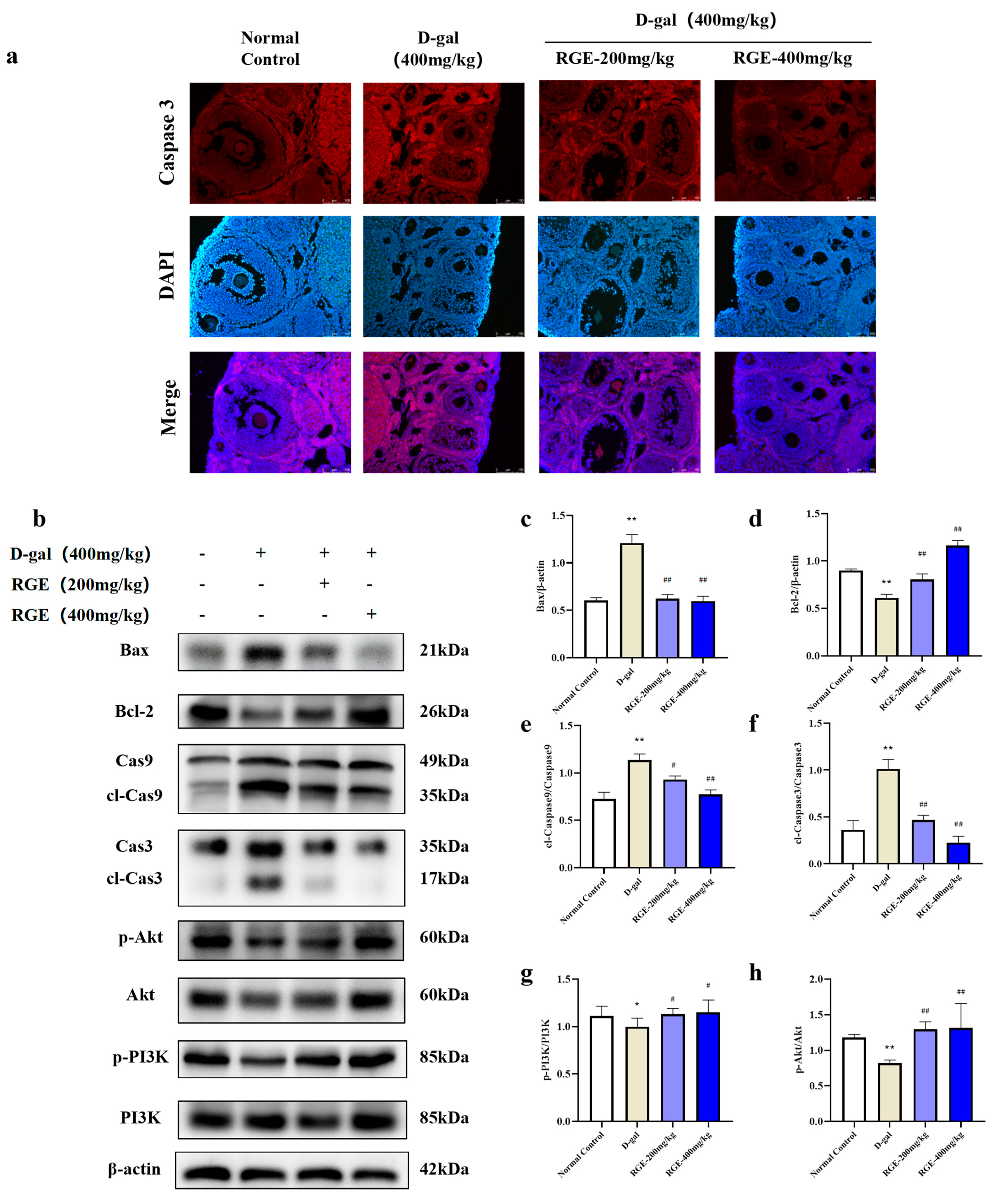 Ijms 24 08210 g005 Ijms 24 08210 g005