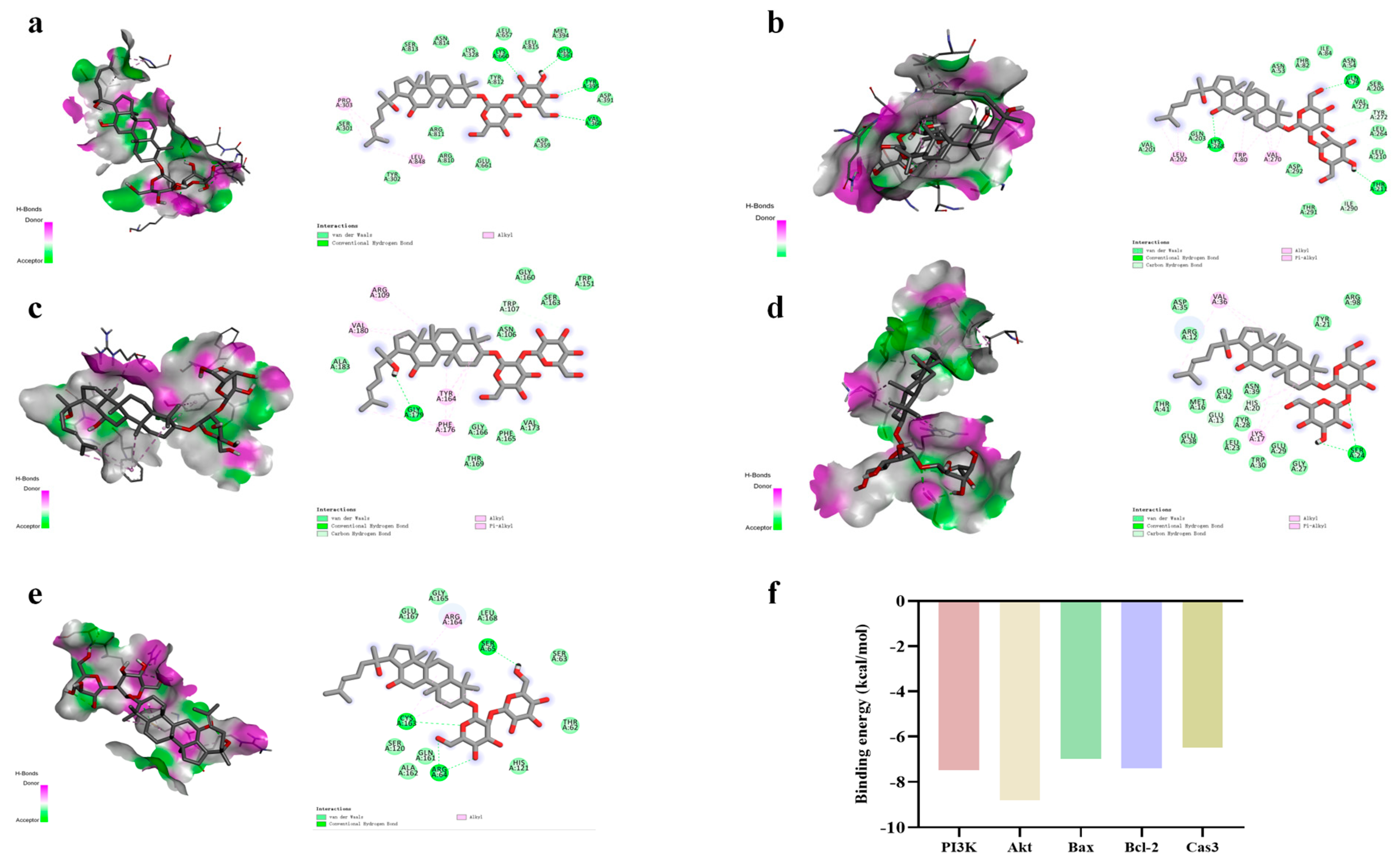 Ijms 24 08210 g006 Ijms 24 08210 g006