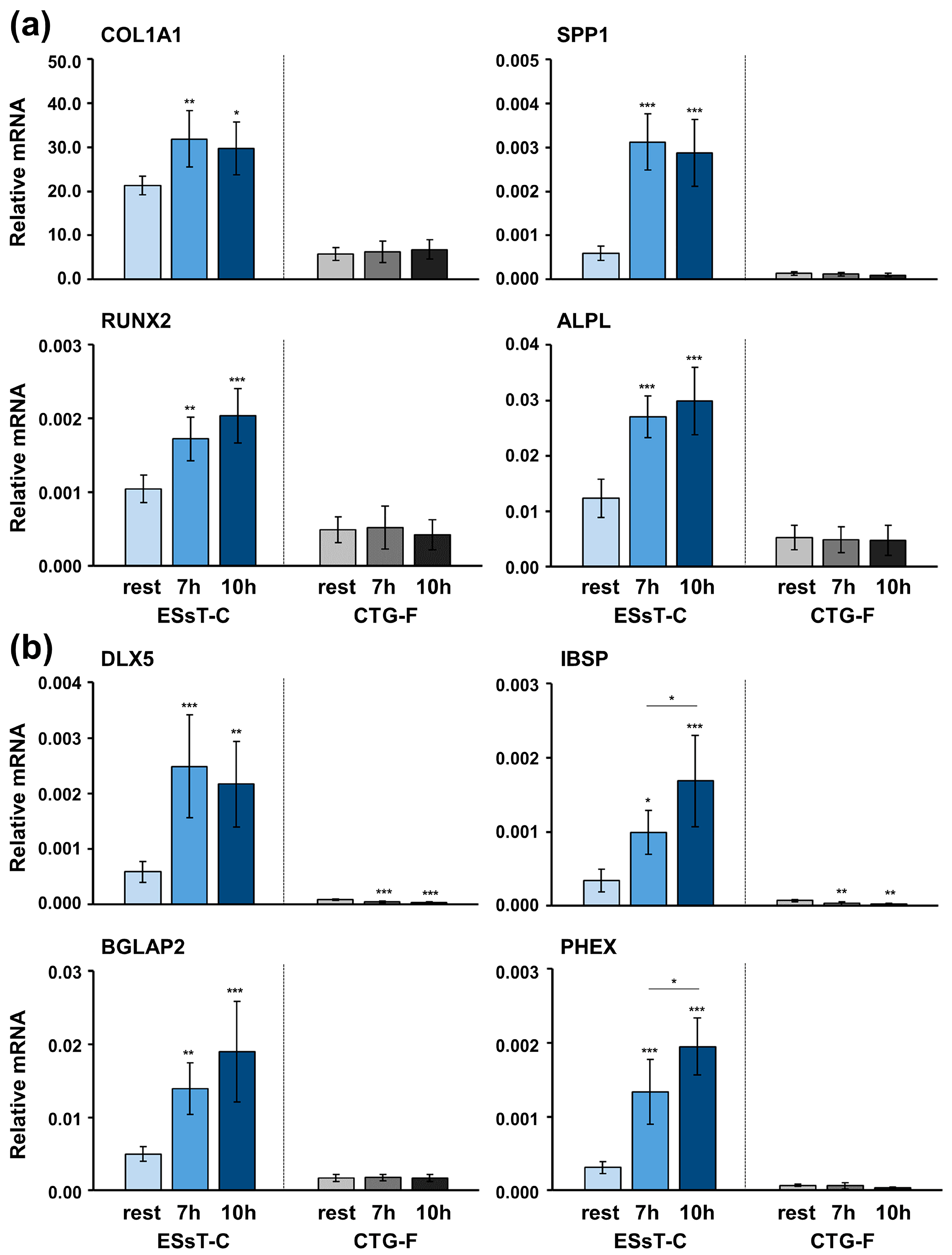 Ijms 24 08239 g004 Ijms 24 08239 g004