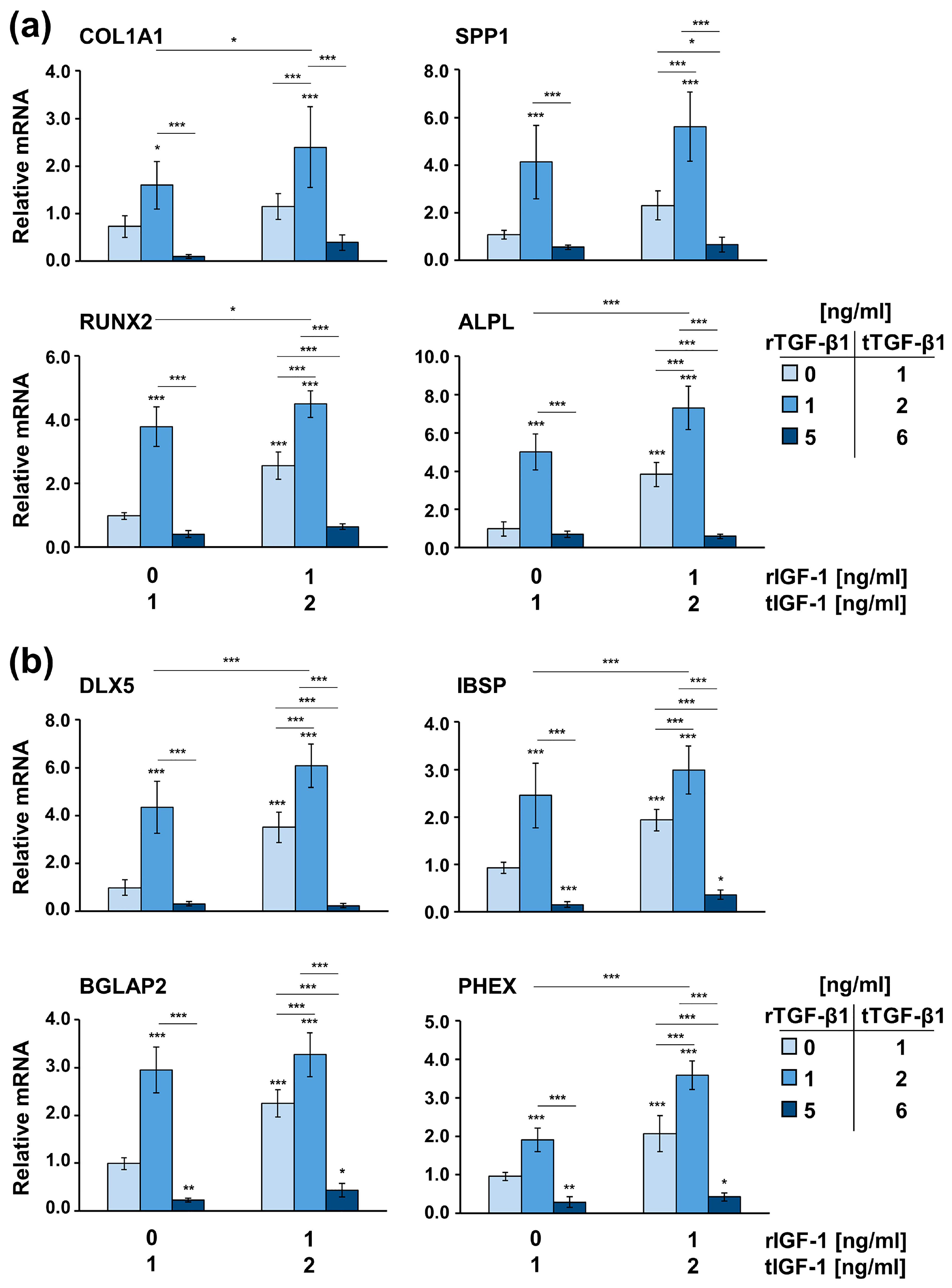 Ijms 24 08239 g007 Ijms 24 08239 g007