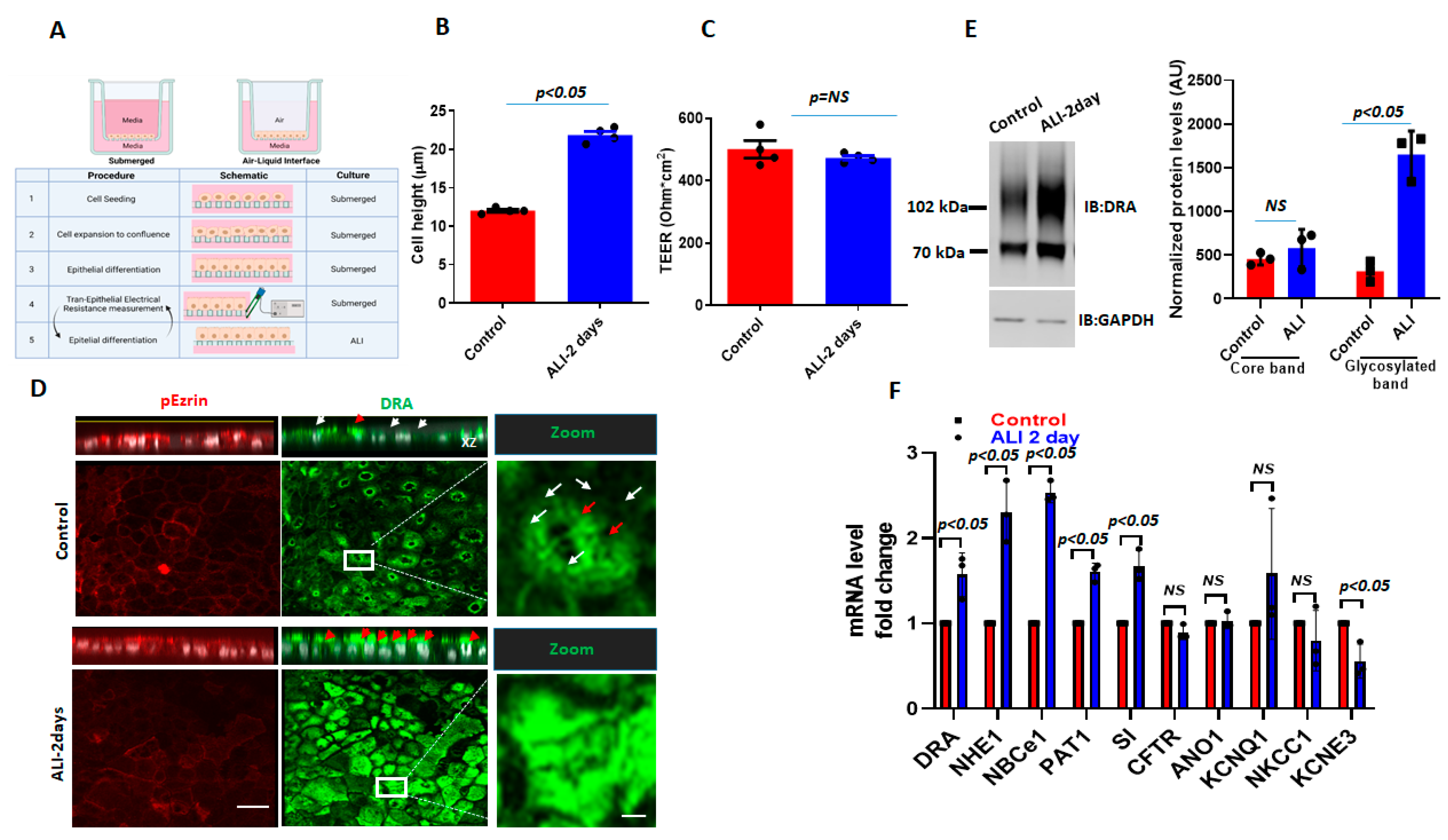 Ijms 24 08273 g001 Ijms 24 08273 g001