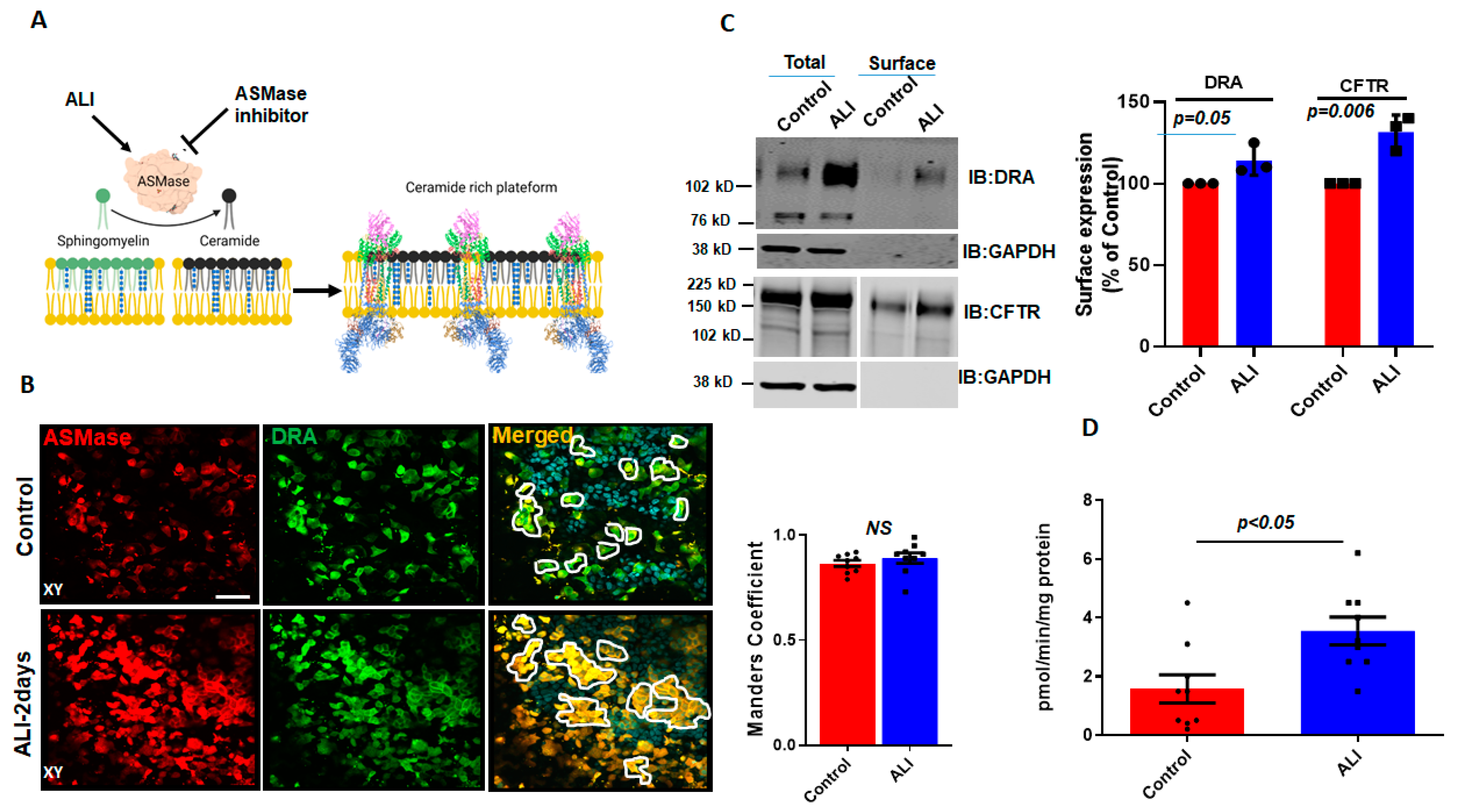 Ijms 24 08273 g002 Ijms 24 08273 g002