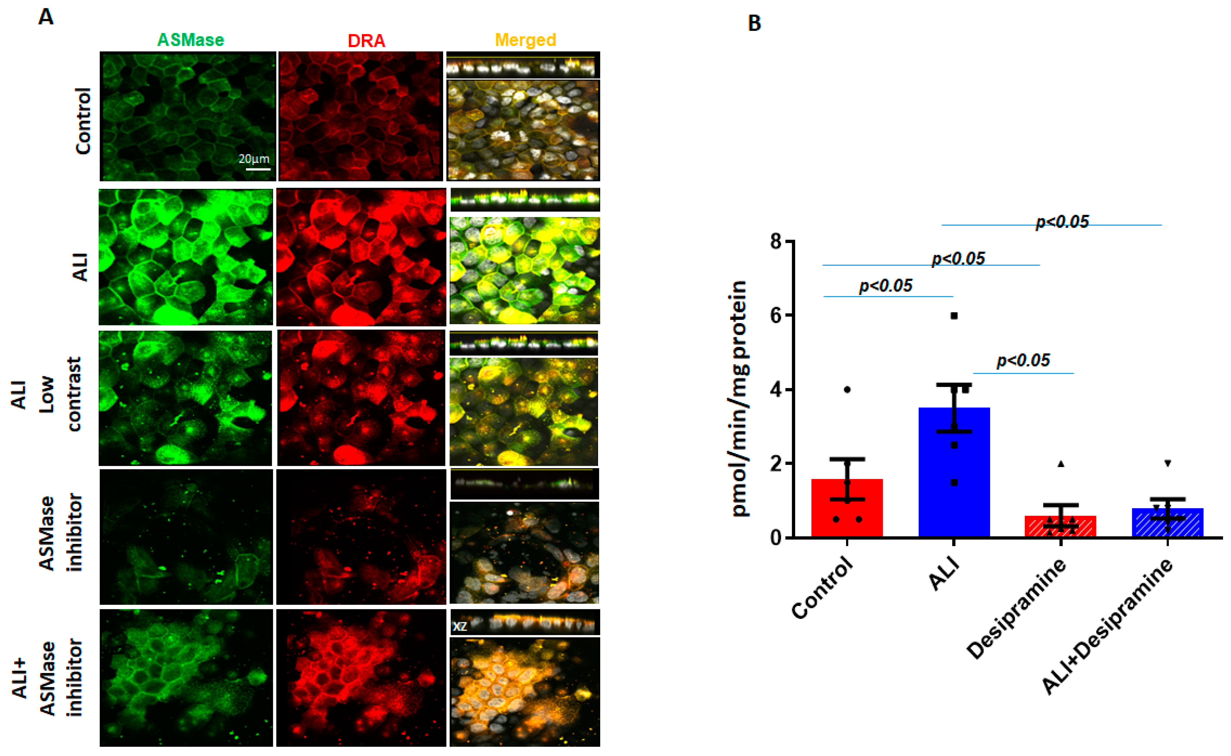 Ijms 24 08273 g004 Ijms 24 08273 g004