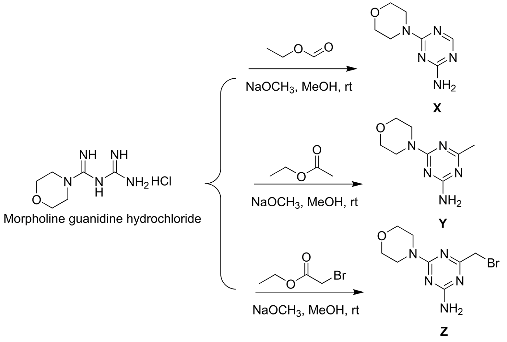 Ijms 24 08280 g003 Ijms 24 08280 g003