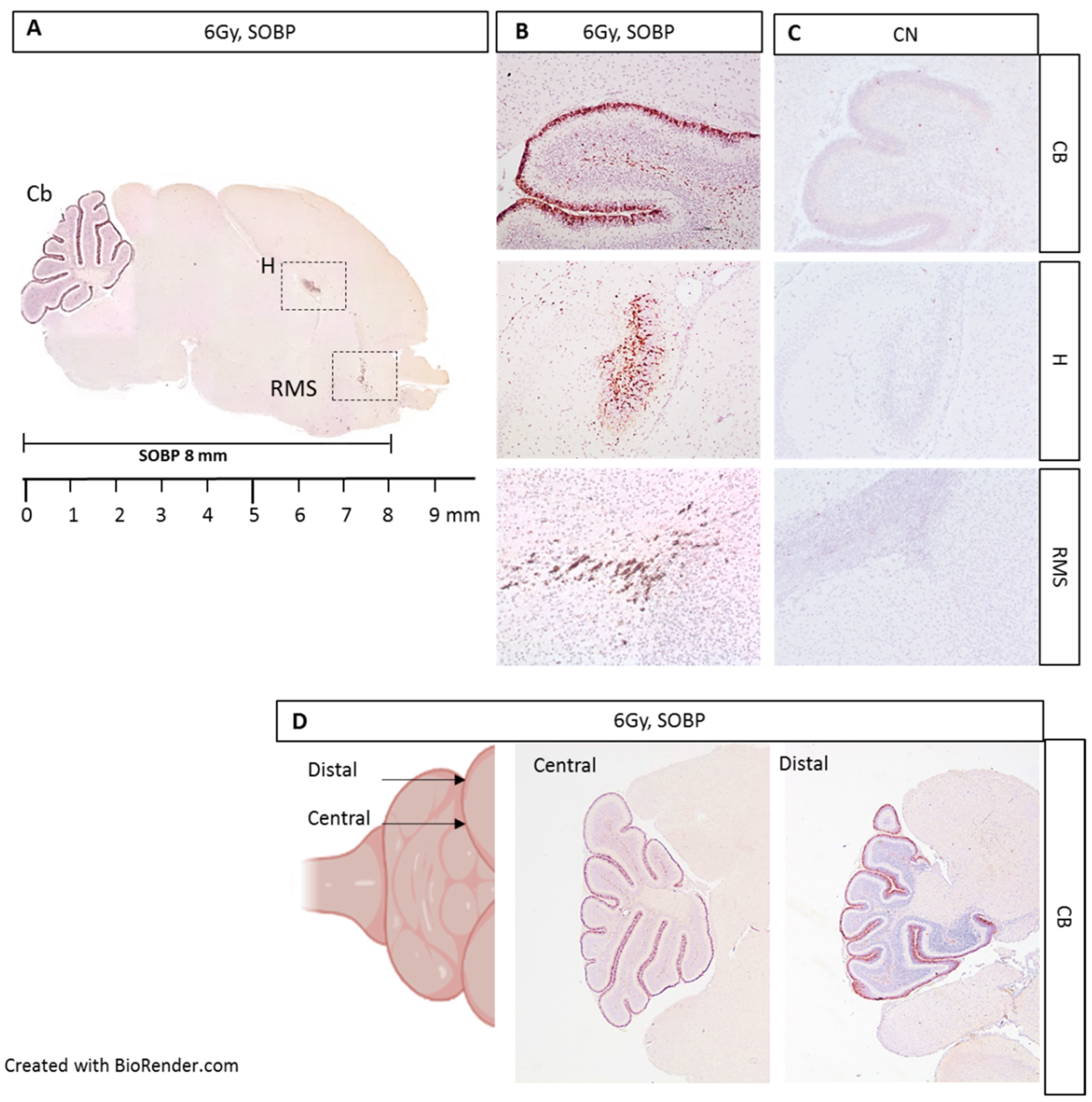 Ijms 24 08281 g005 Ijms 24 08281 g005