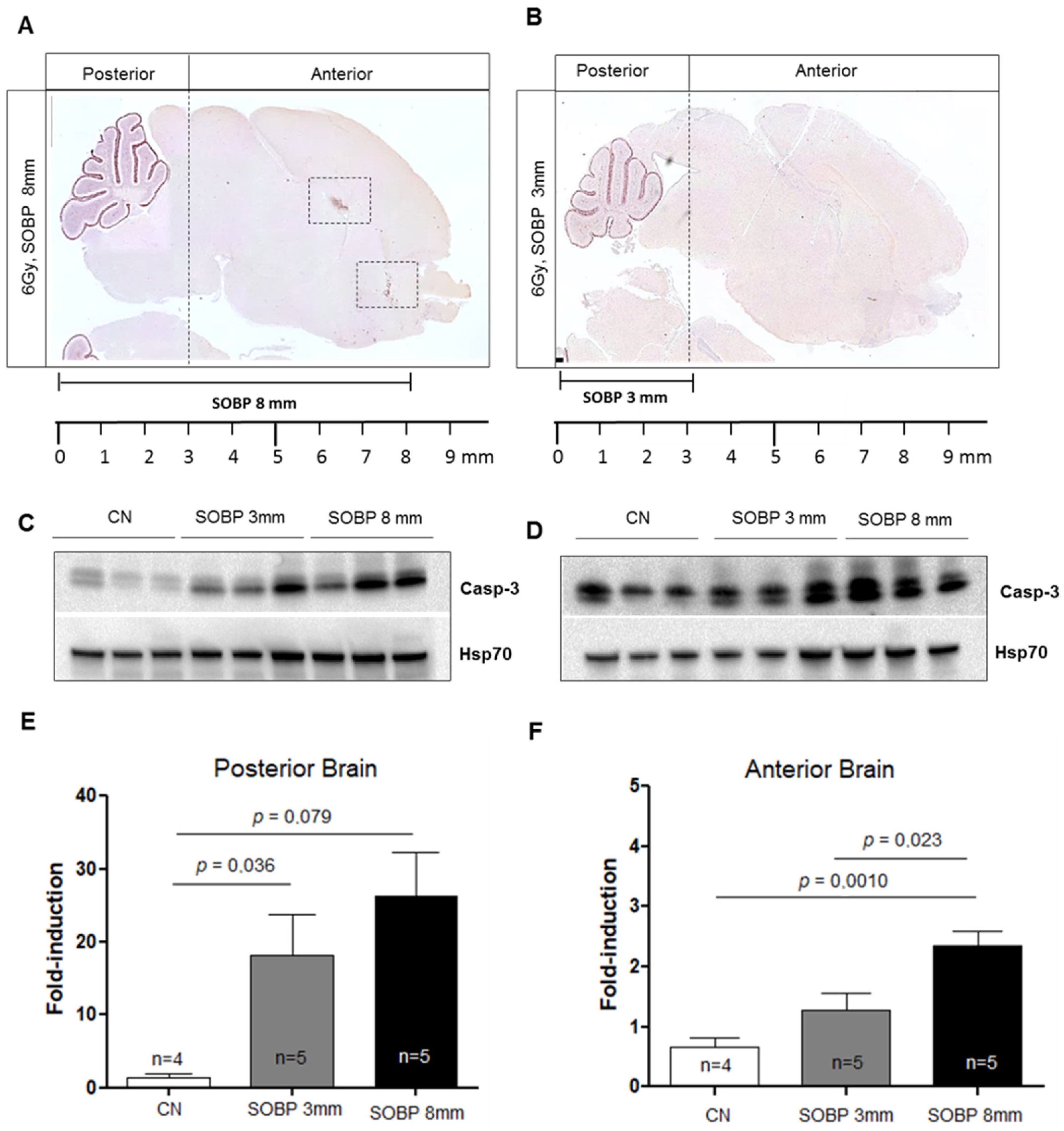 Ijms 24 08281 g006 Ijms 24 08281 g006