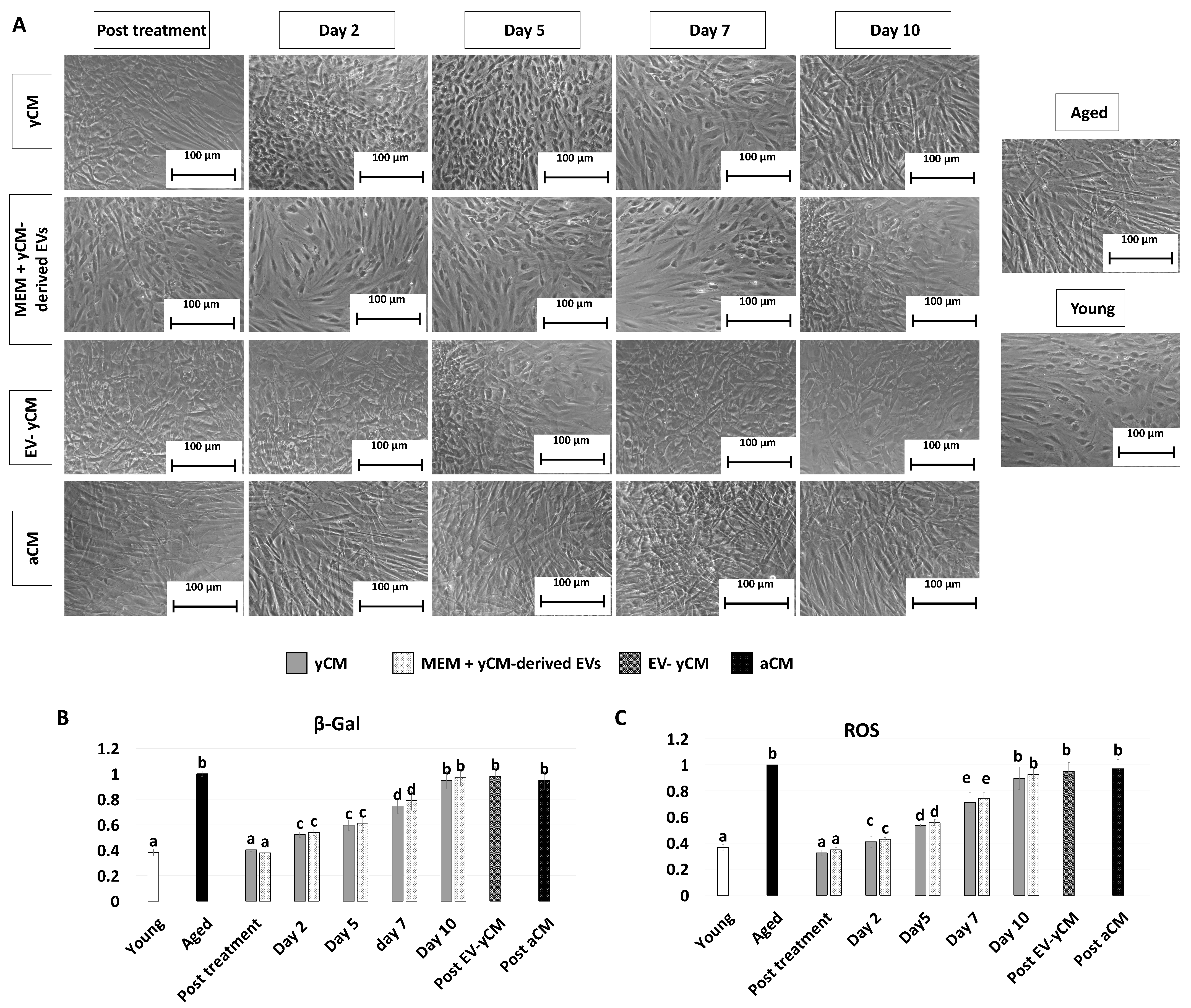 Ijms 24 08285 g001 Ijms 24 08285 g001