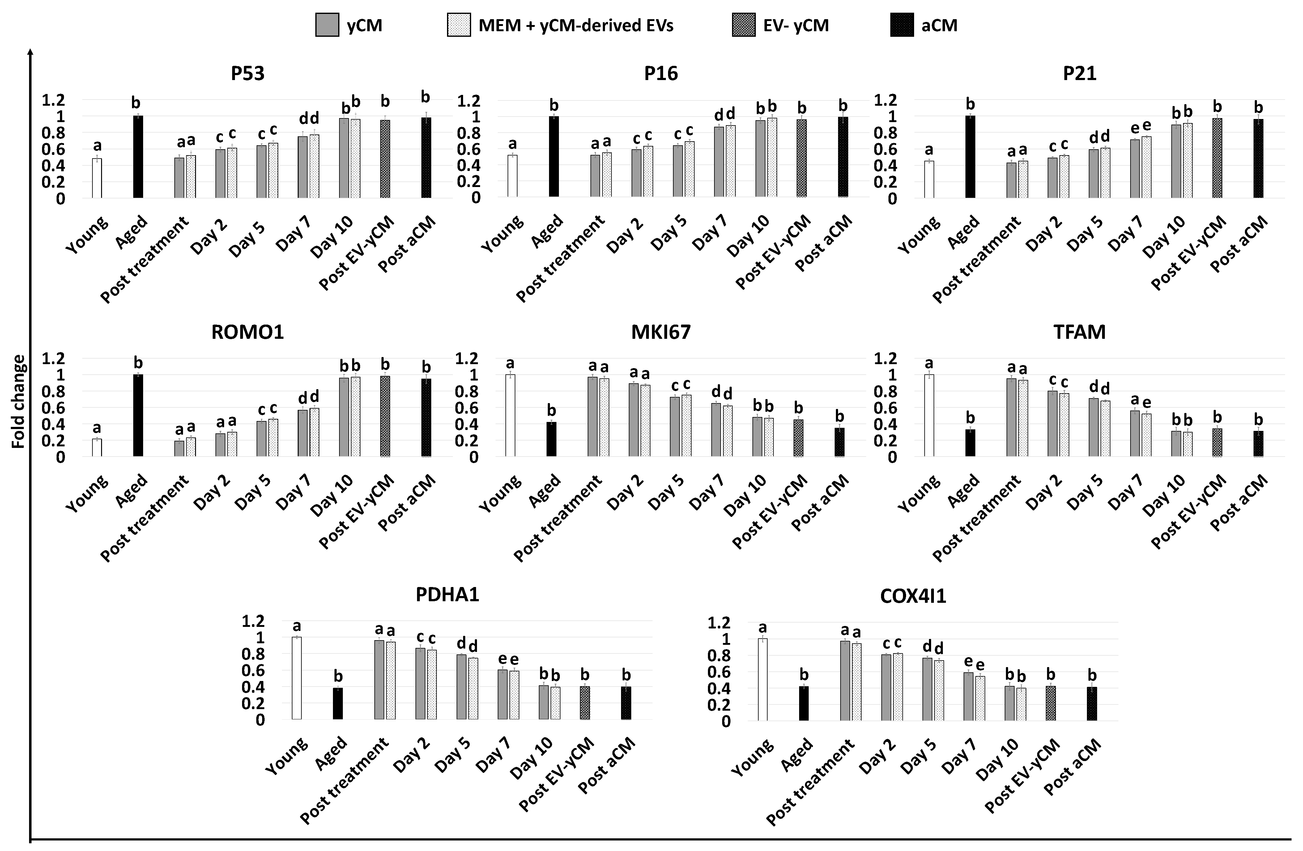 Ijms 24 08285 g002 Ijms 24 08285 g002