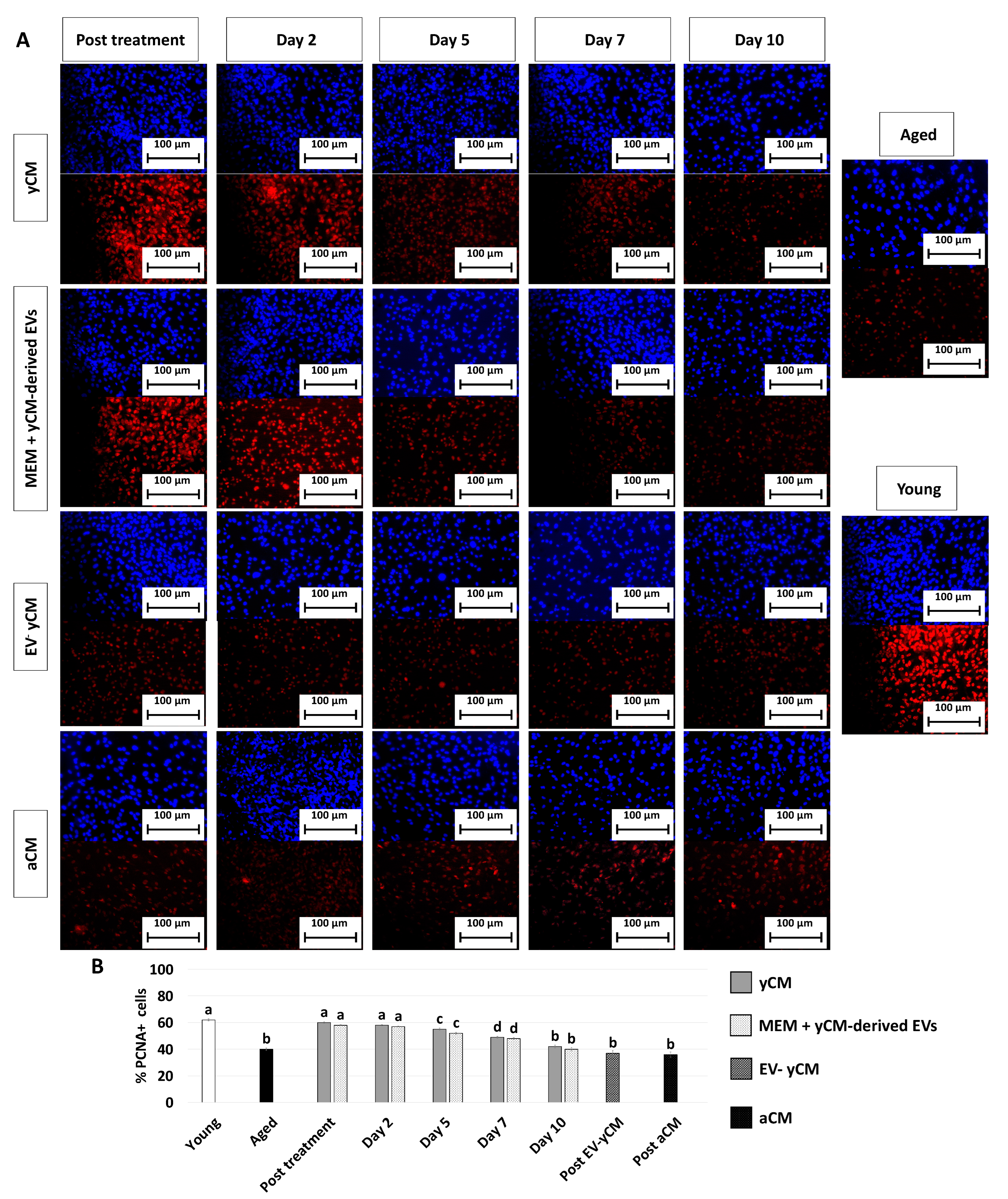 Ijms 24 08285 g003 Ijms 24 08285 g003