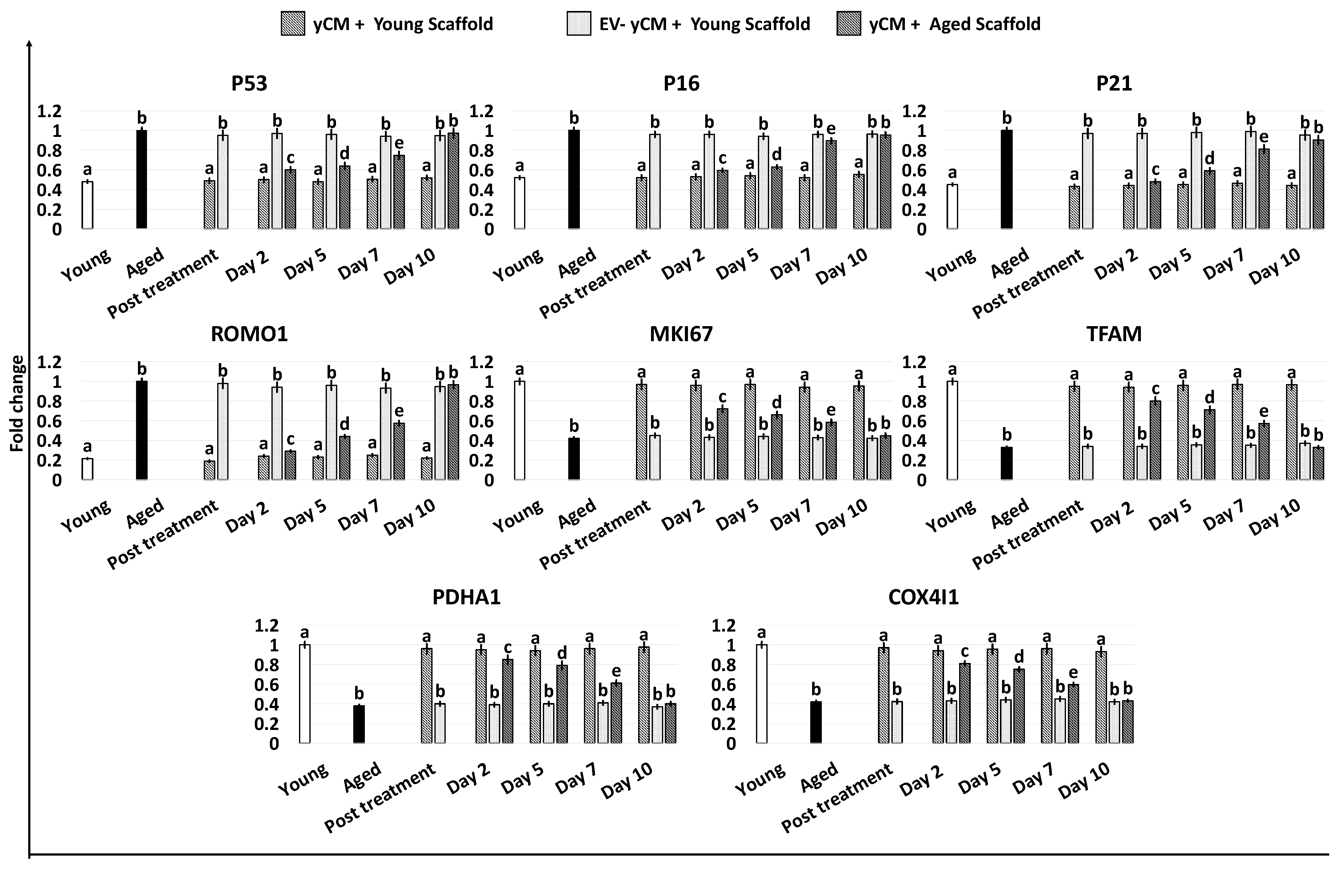Ijms 24 08285 g005 Ijms 24 08285 g005