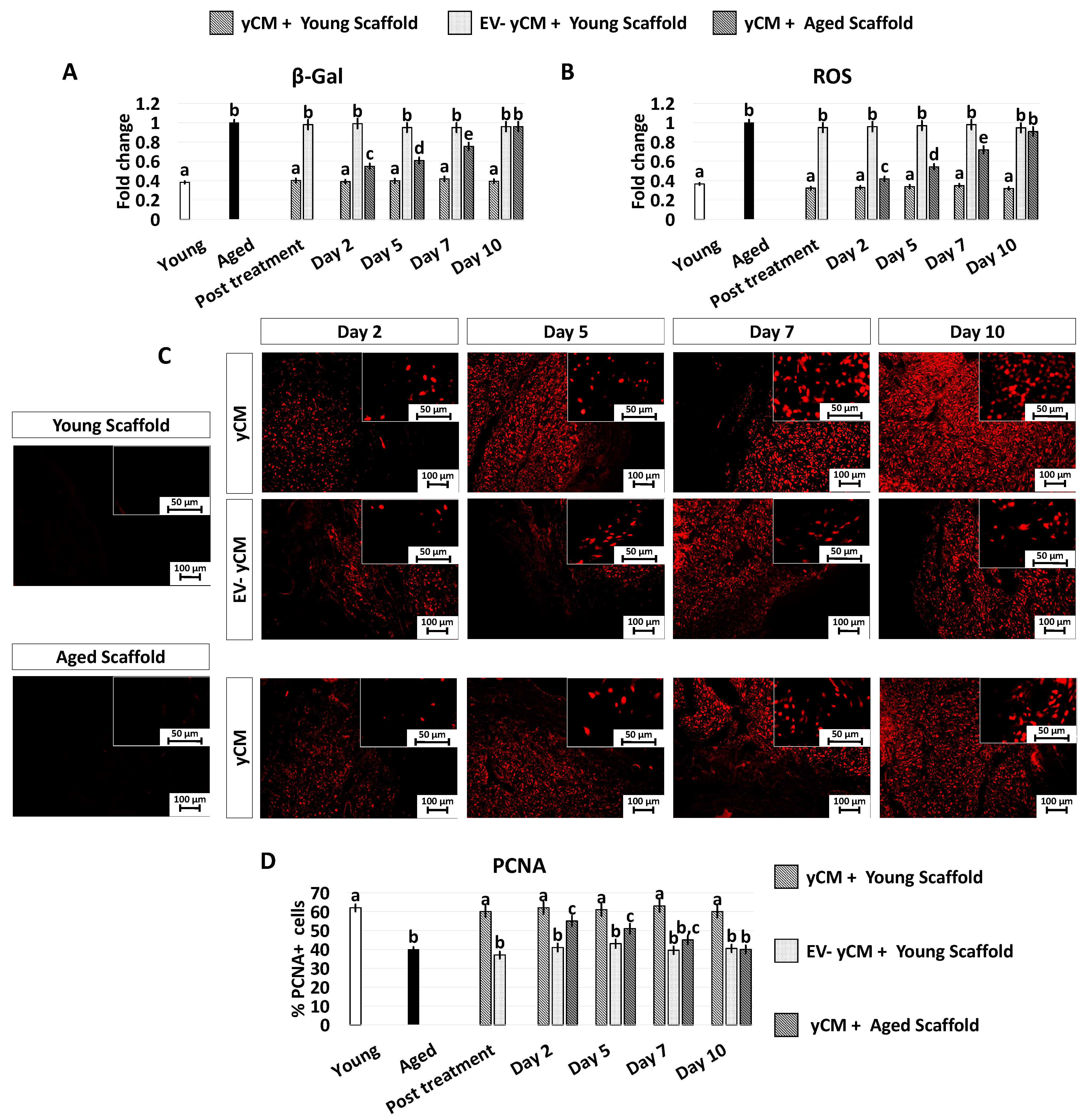 Ijms 24 08285 g006 Ijms 24 08285 g006