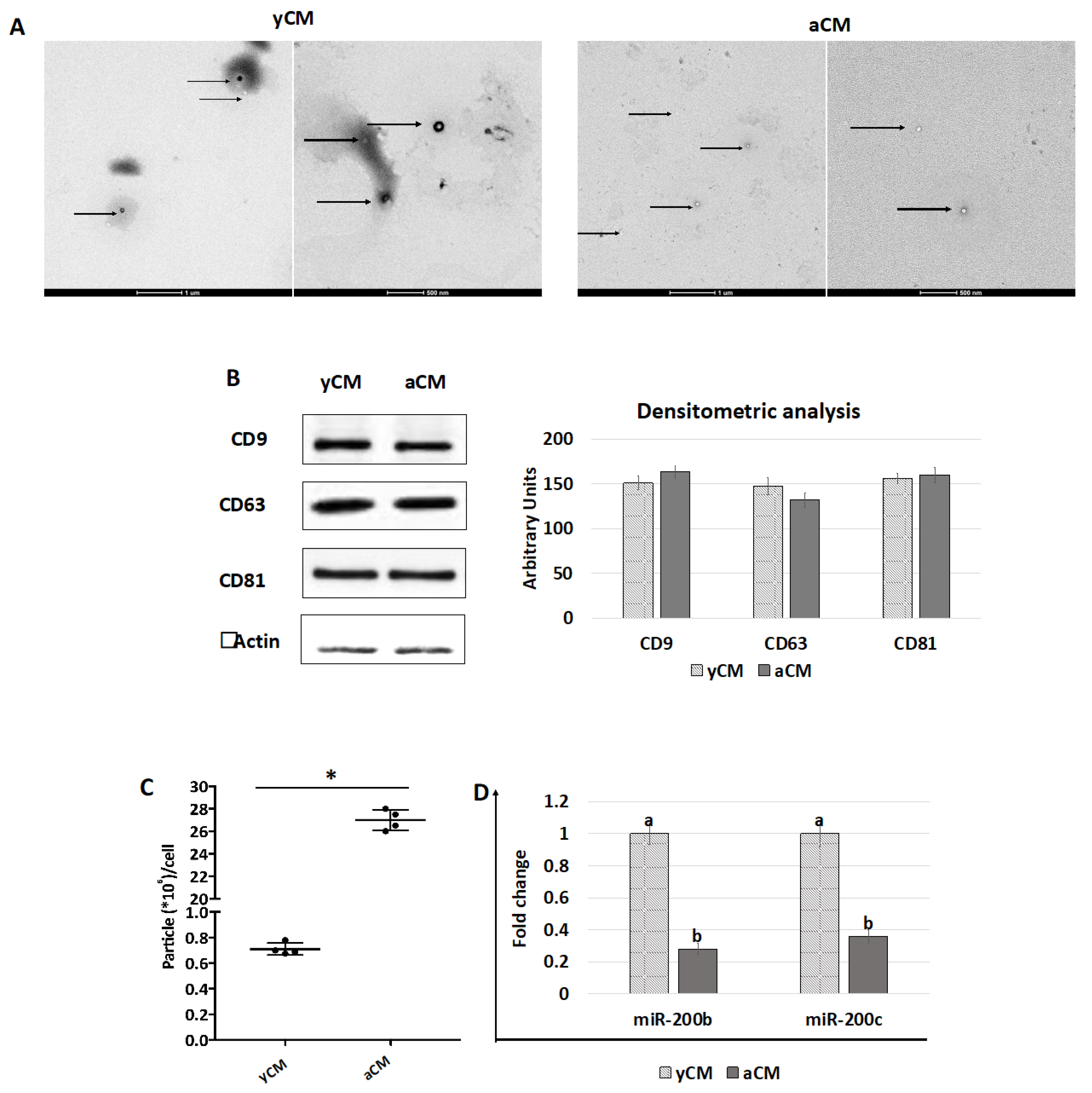 Ijms 24 08285 g007 Ijms 24 08285 g007