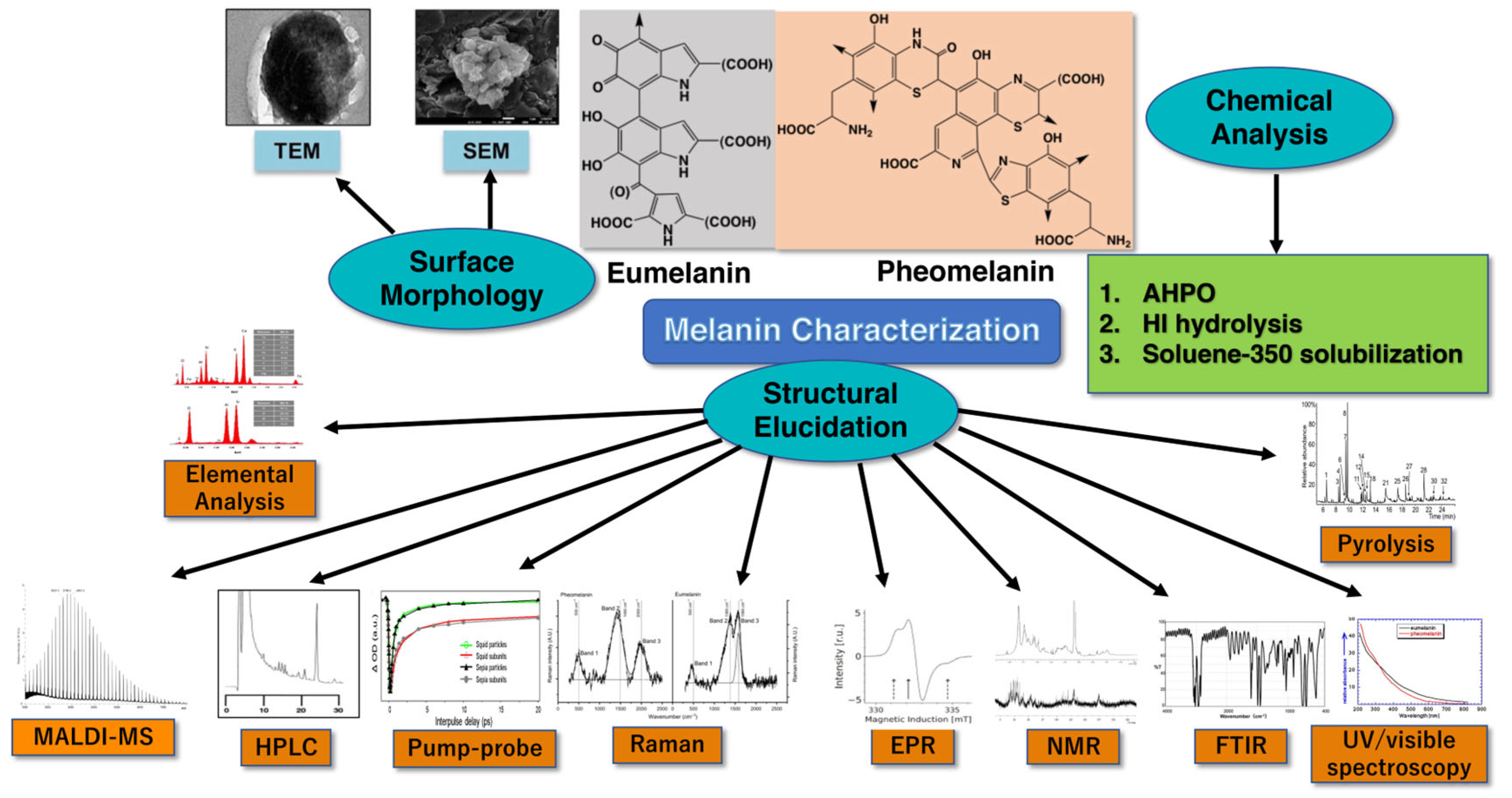 Ijms 24 08305 g009 Ijms 24 08305 g009