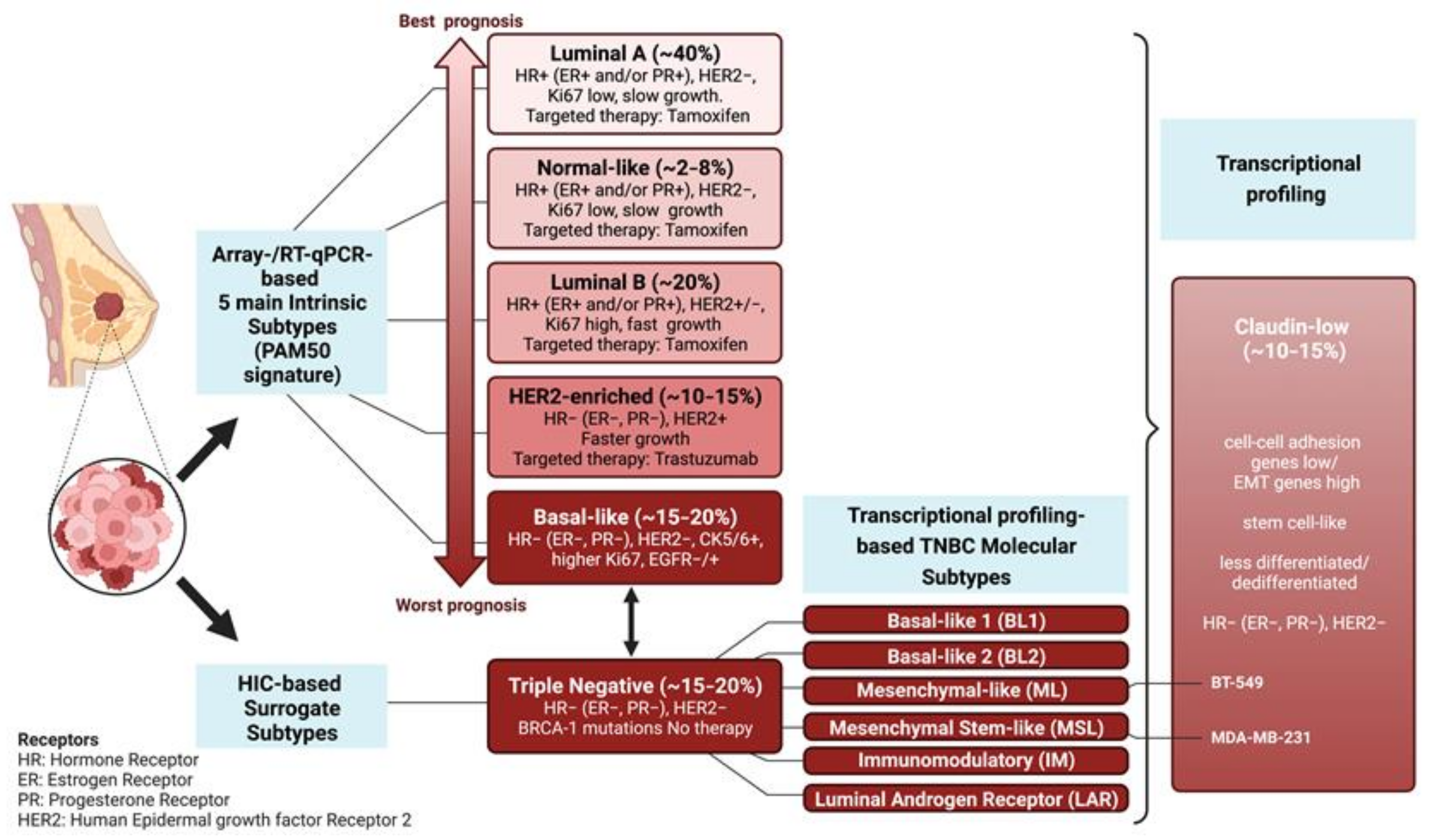 Ijms 24 08307 g001 Ijms 24 08307 g001
