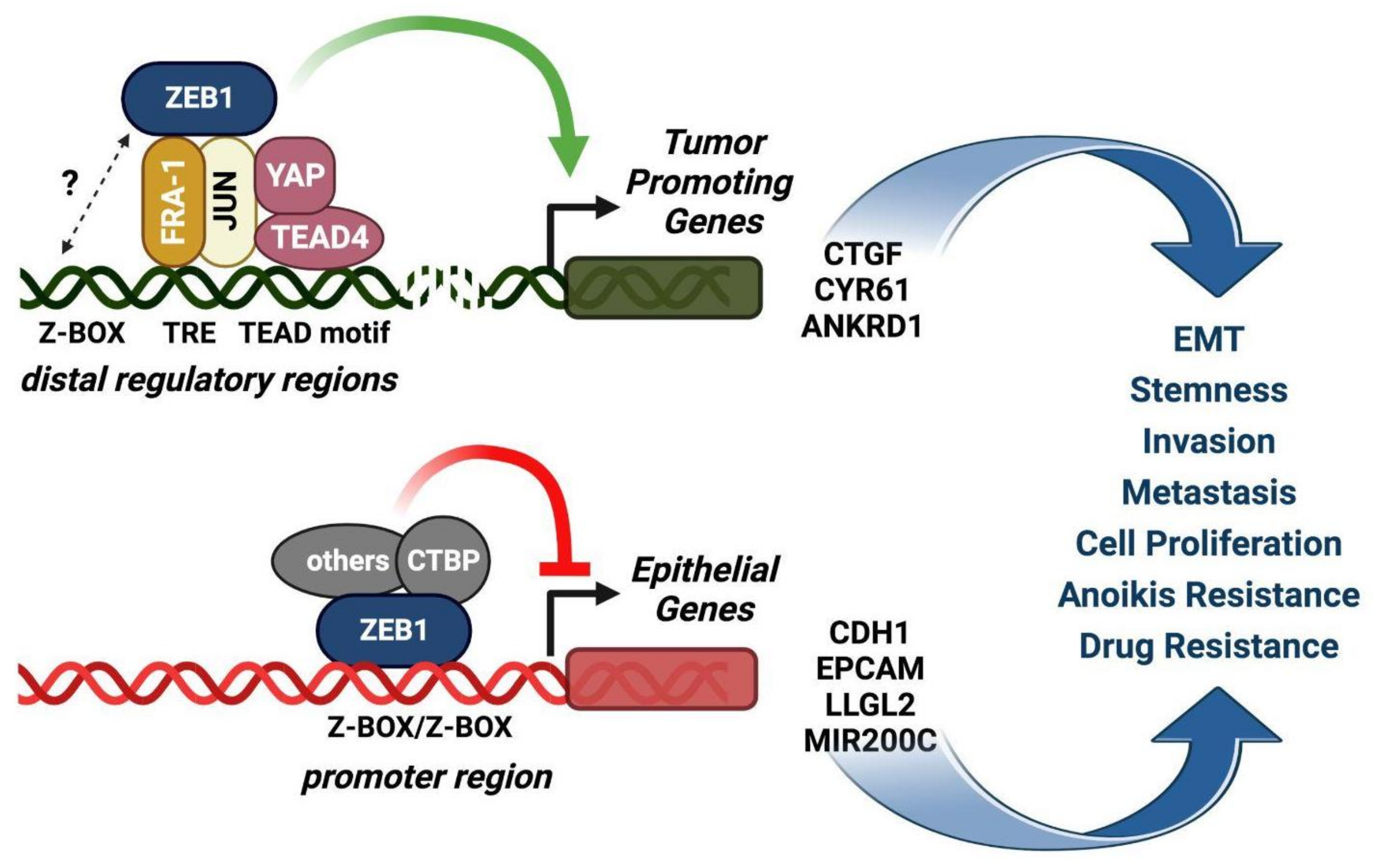 Ijms 24 08307 g004 Ijms 24 08307 g004