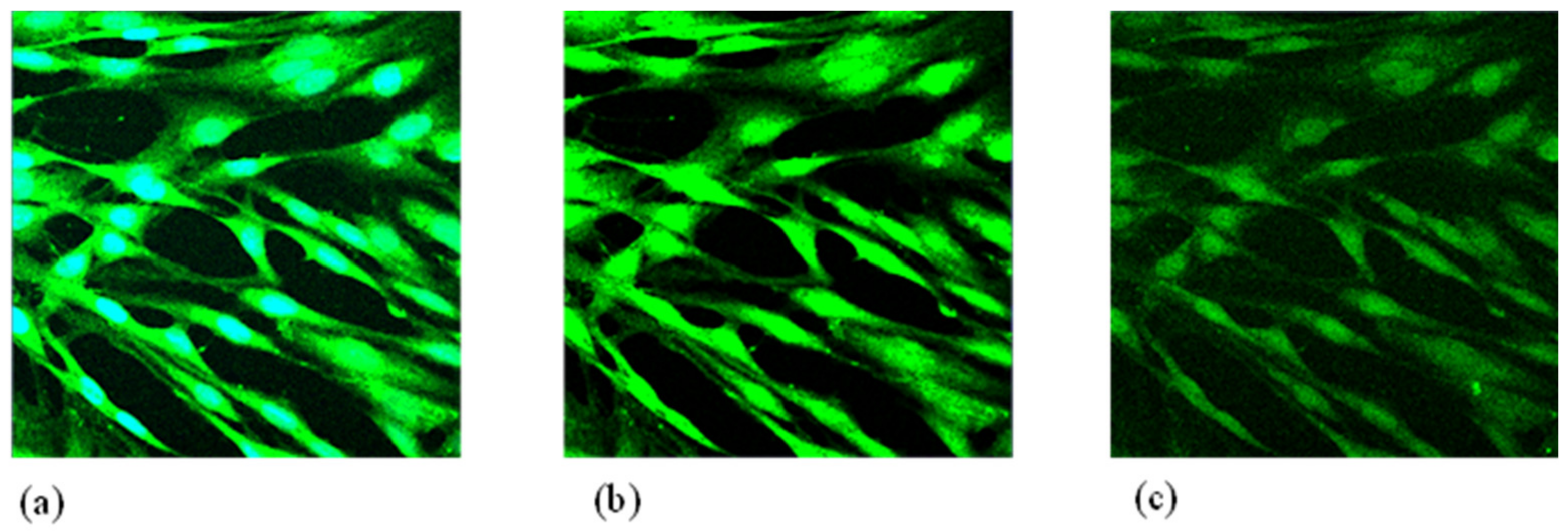 Ijms 24 08316 g004