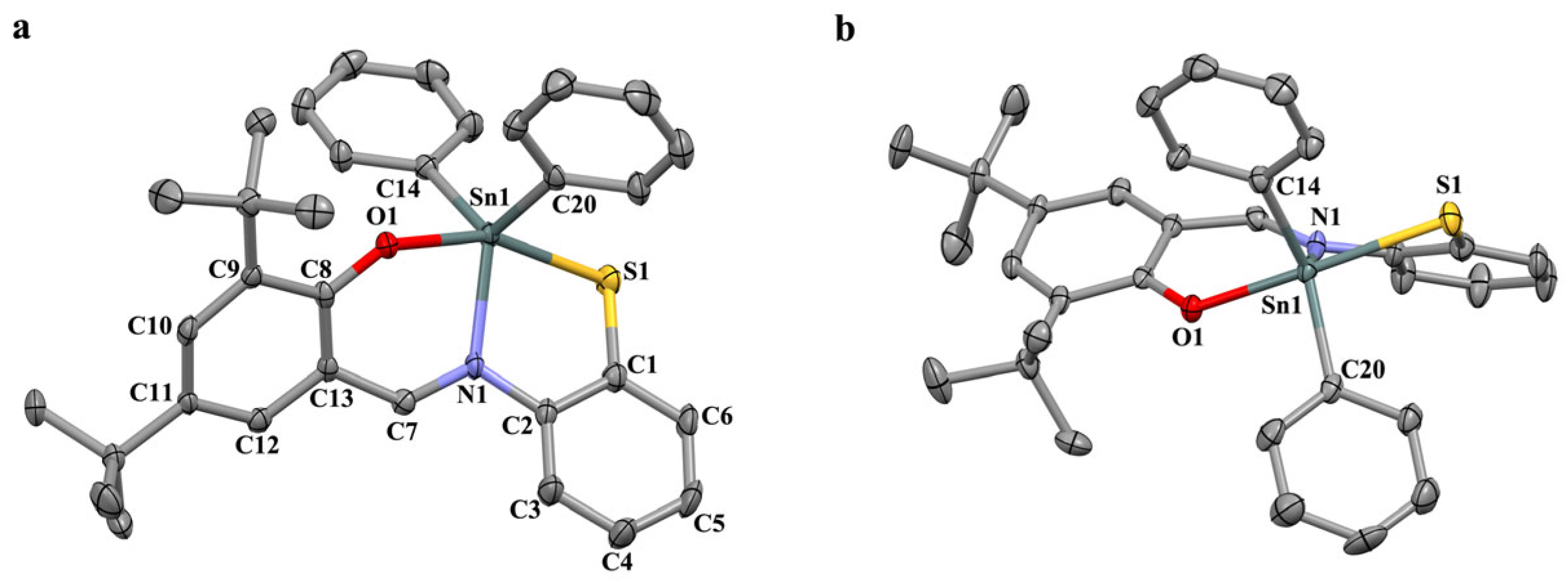 Ijms 24 08319 g001 Ijms 24 08319 g001