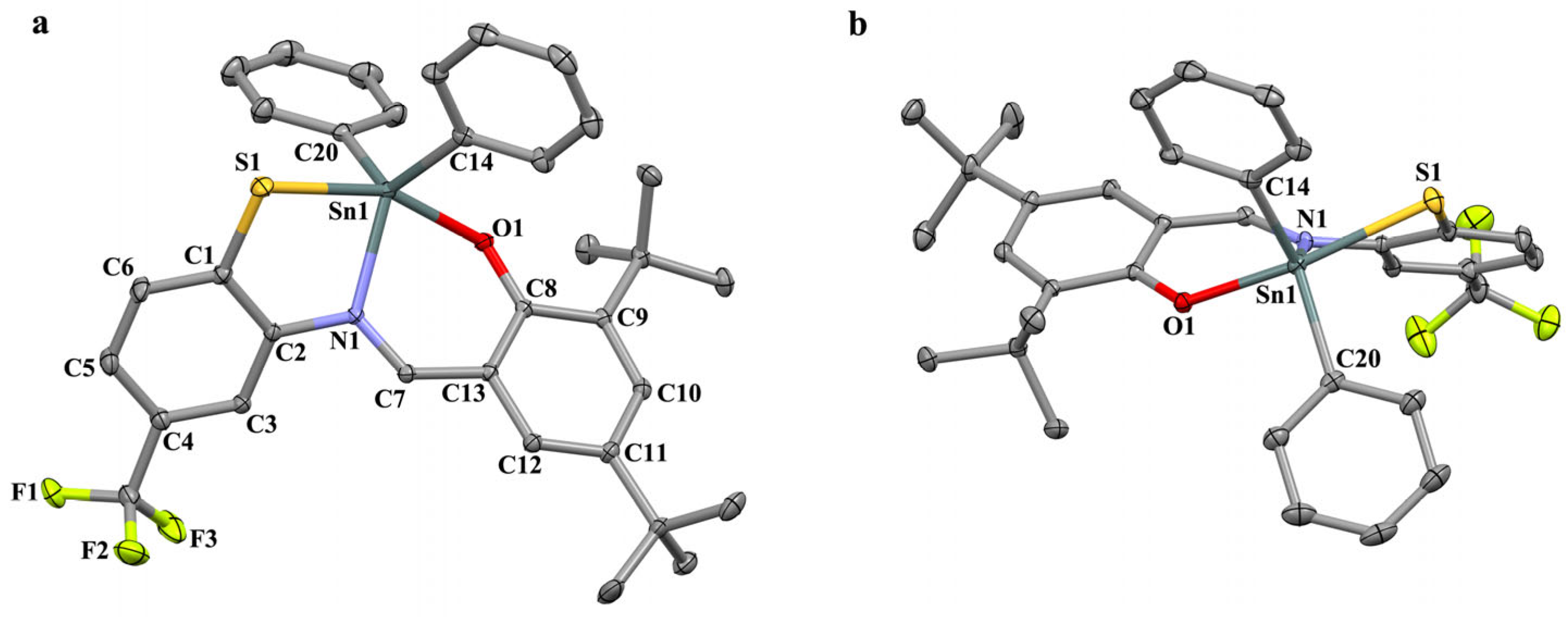 Ijms 24 08319 g002 Ijms 24 08319 g002