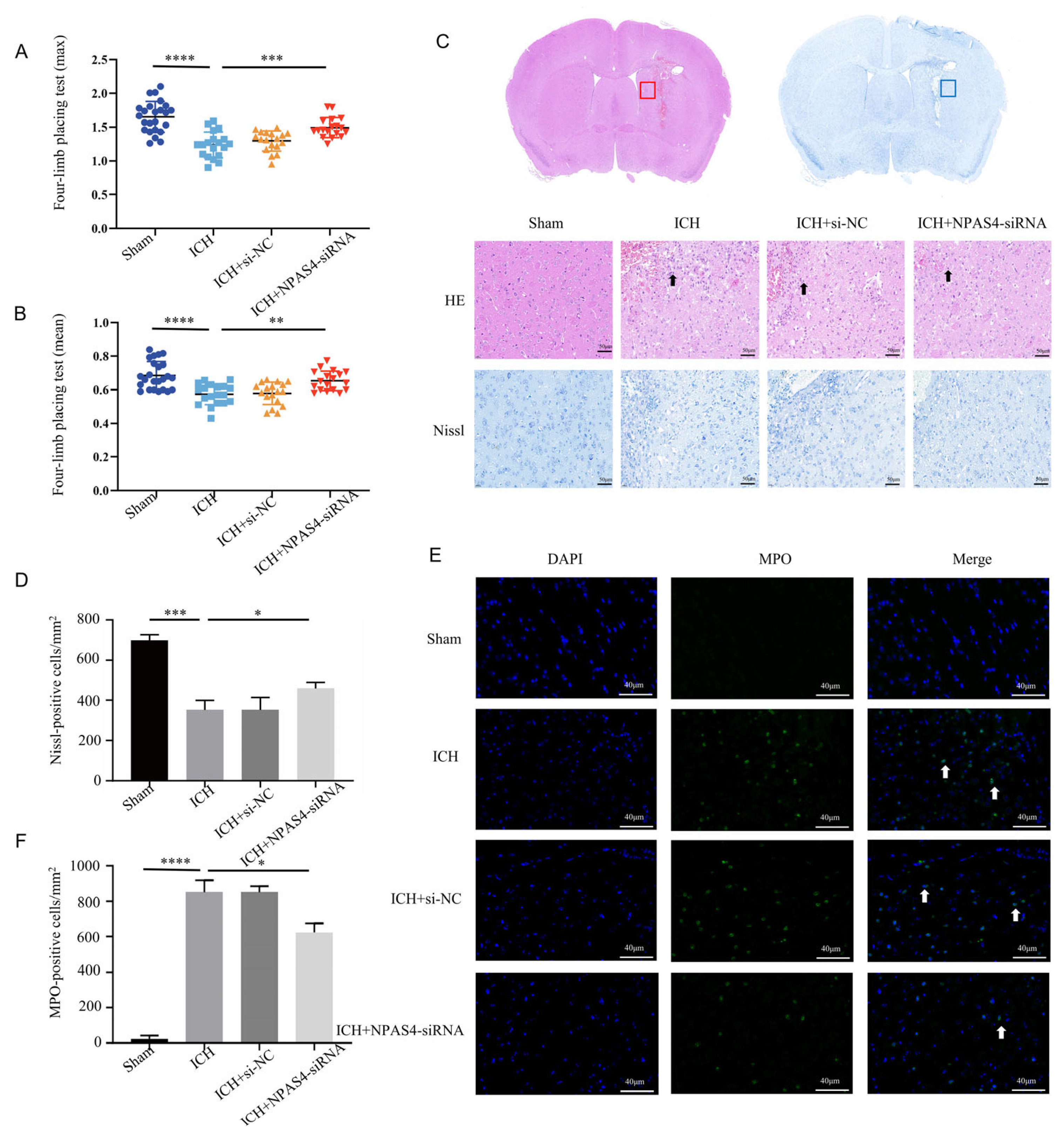 Ijms 24 08320 g002 Ijms 24 08320 g002