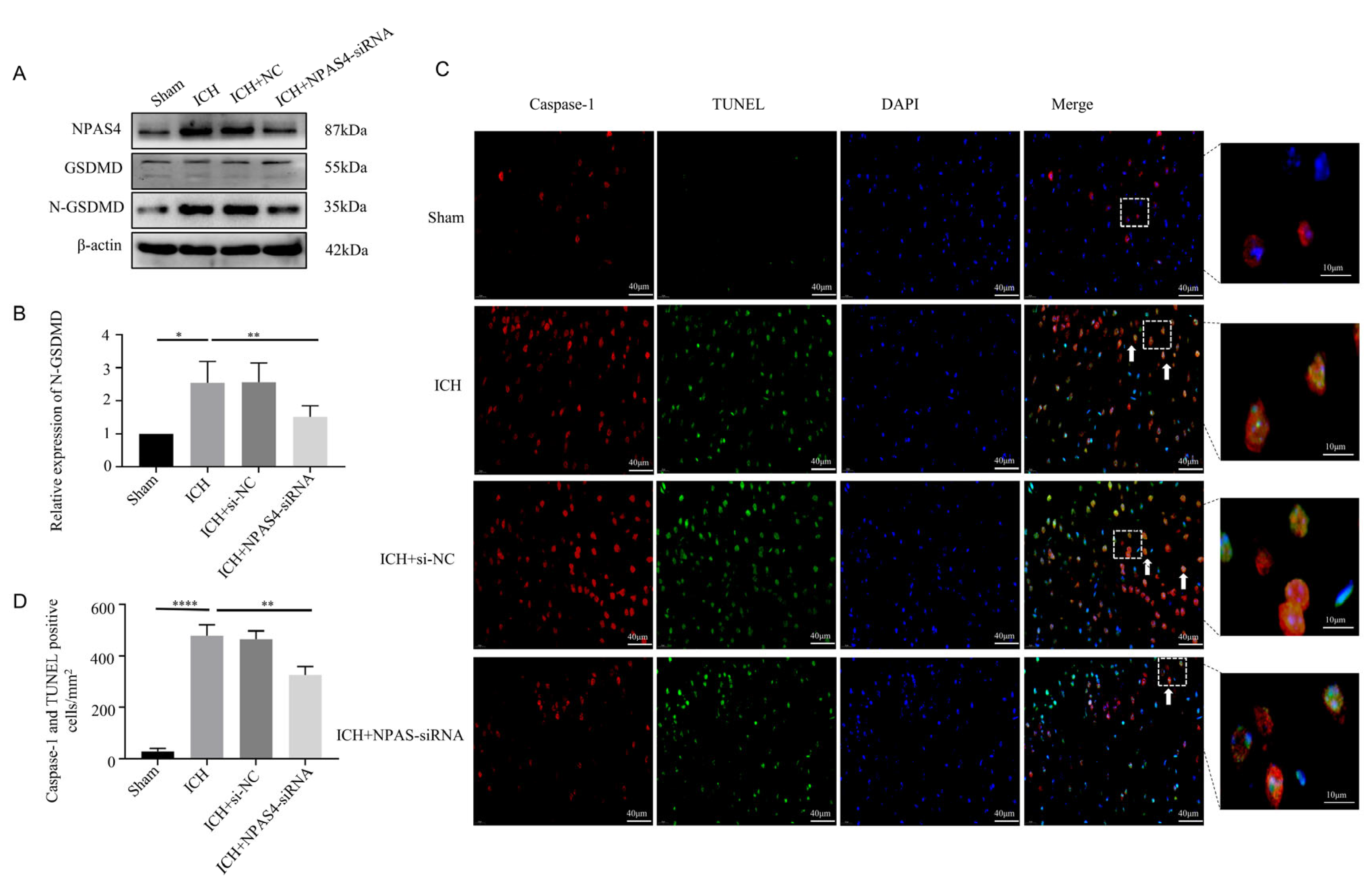 Ijms 24 08320 g003 Ijms 24 08320 g003