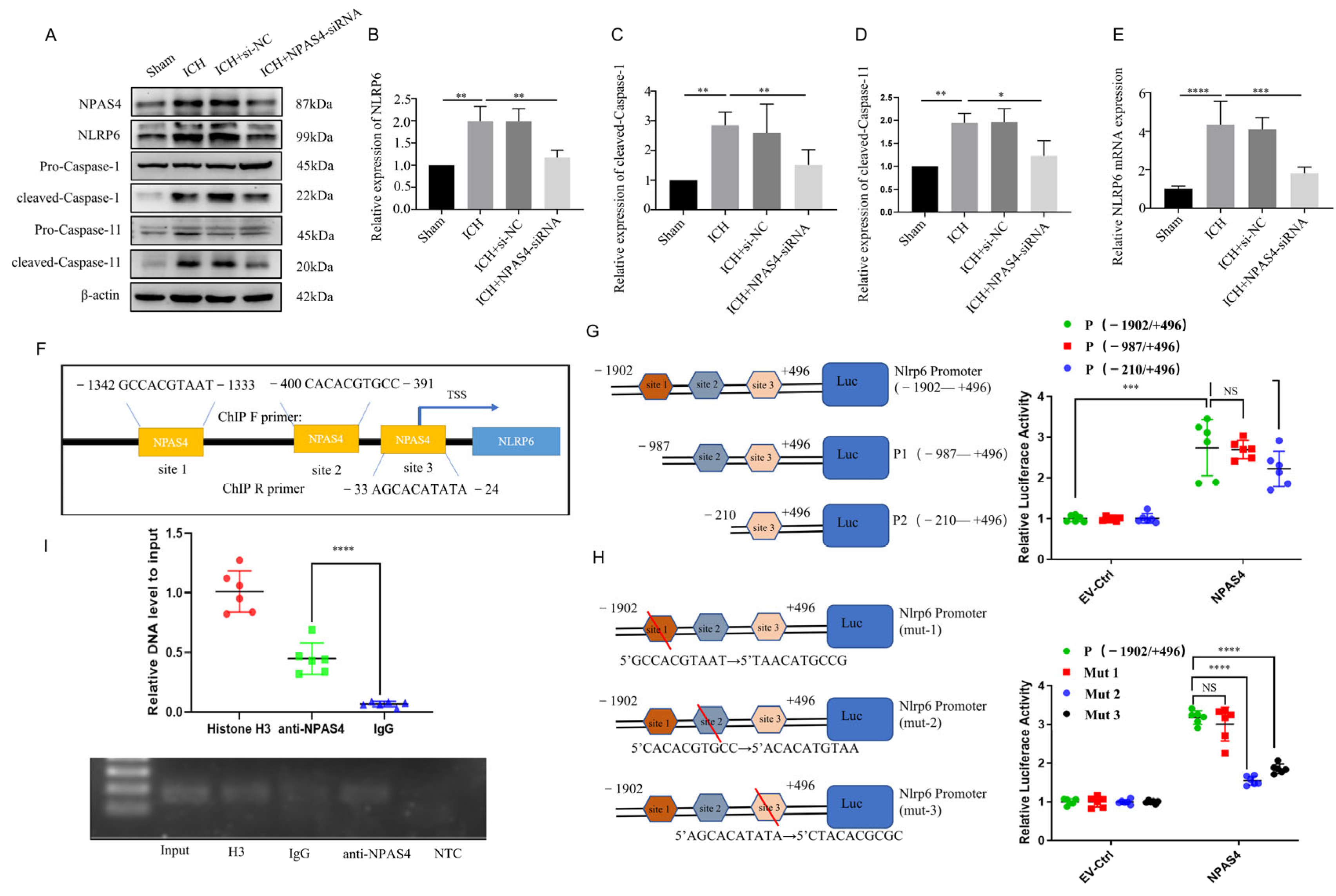 Ijms 24 08320 g004 Ijms 24 08320 g004