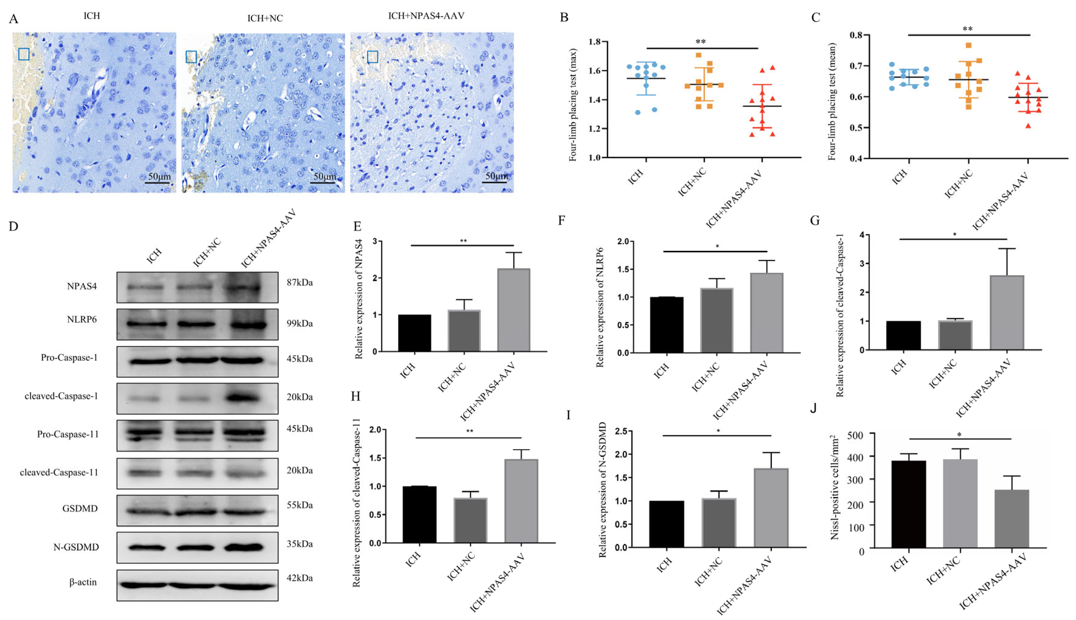 Ijms 24 08320 g005 Ijms 24 08320 g005