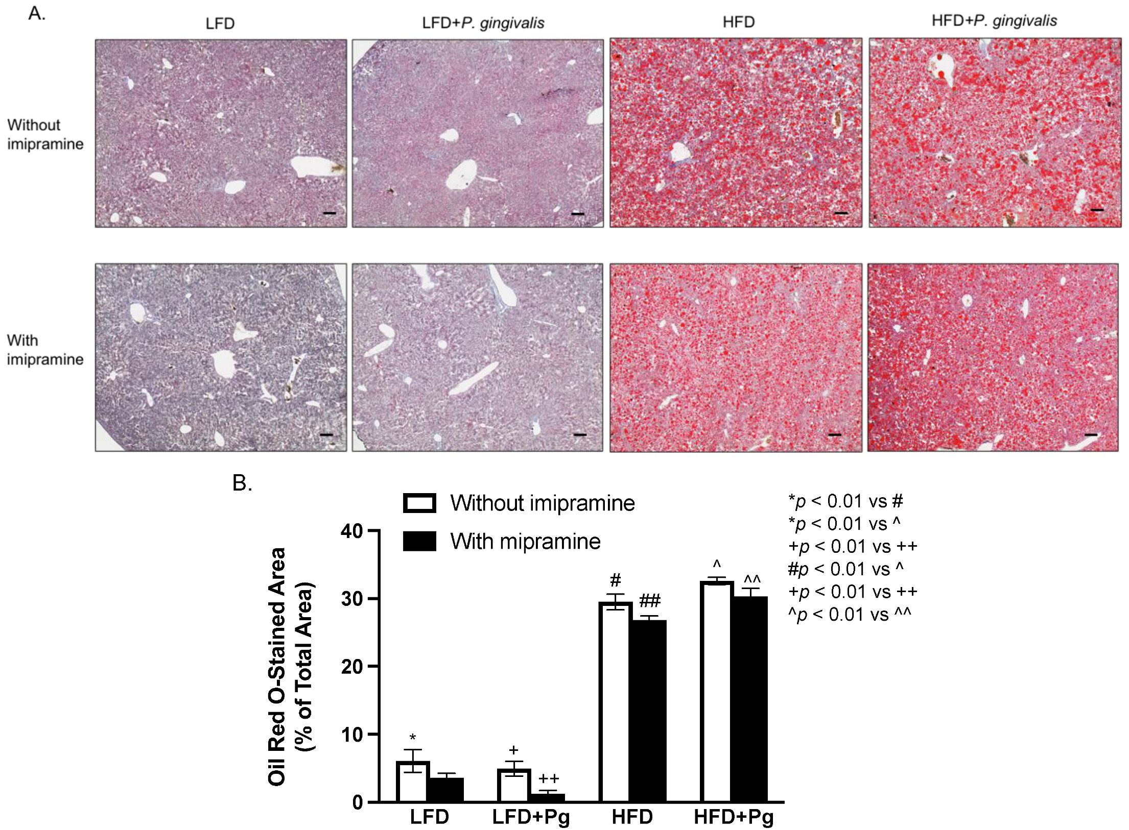 Ijms 24 08322 g006 Ijms 24 08322 g006