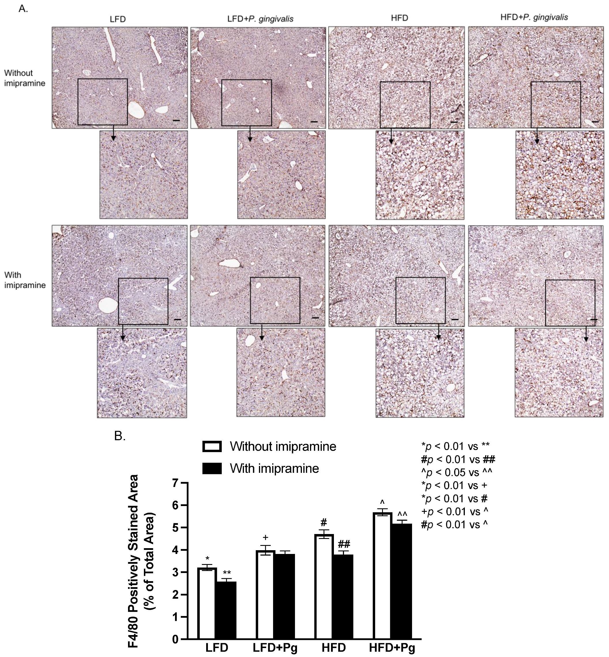 Ijms 24 08322 g007 Ijms 24 08322 g007