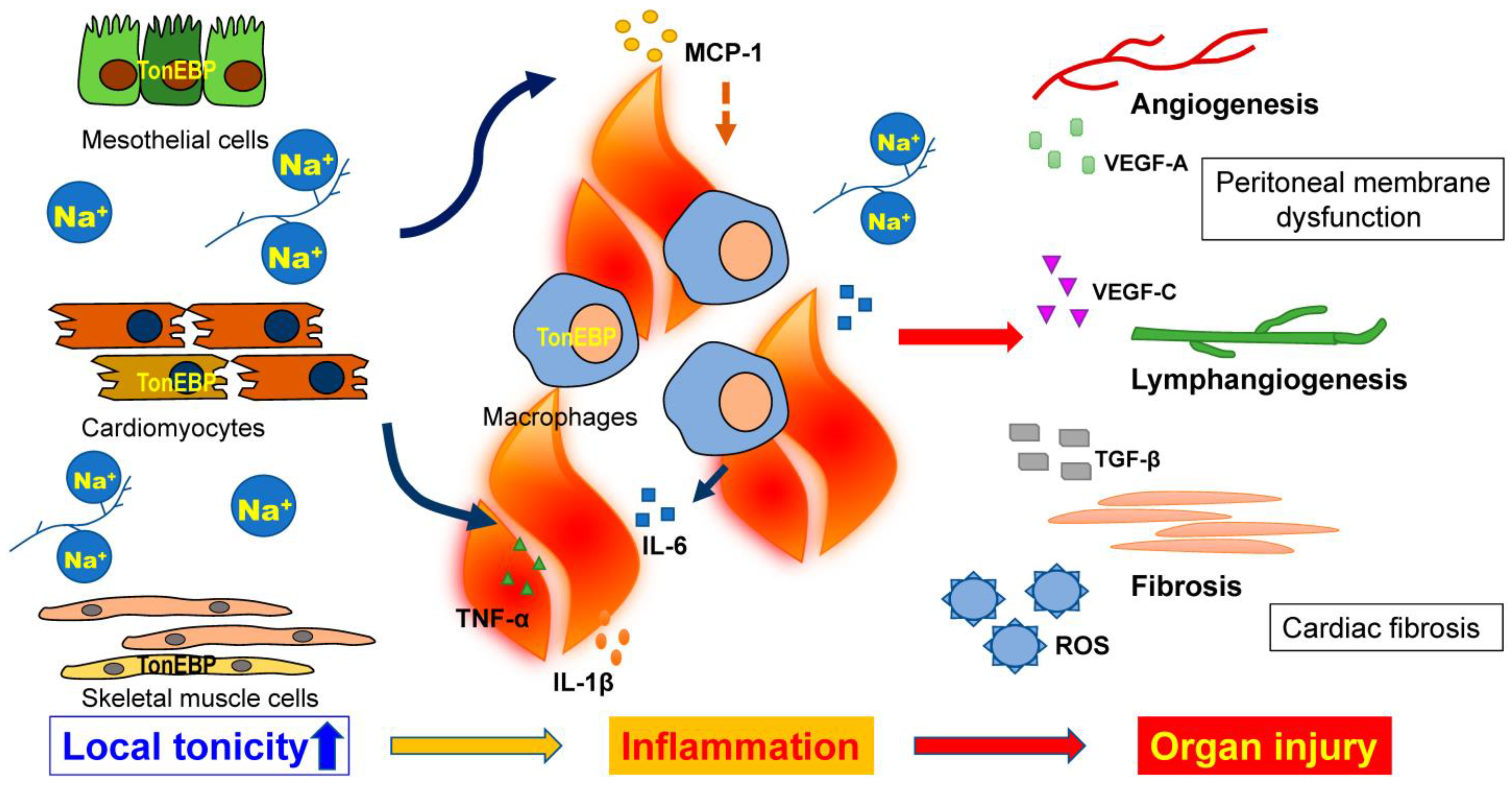 Ijms 24 08329 g002 Ijms 24 08329 g002