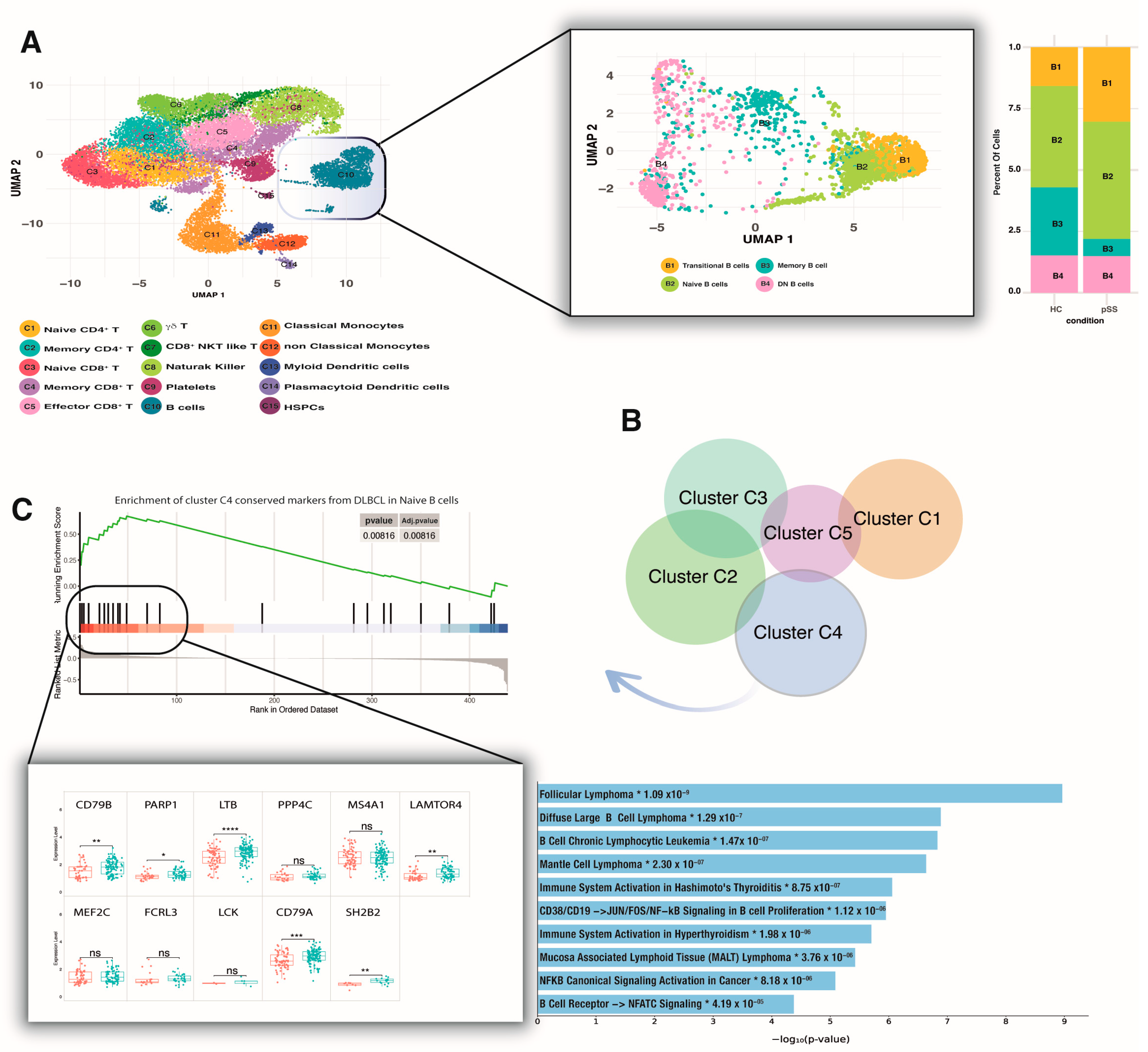 Ijms 24 08385 g002 Ijms 24 08385 g002
