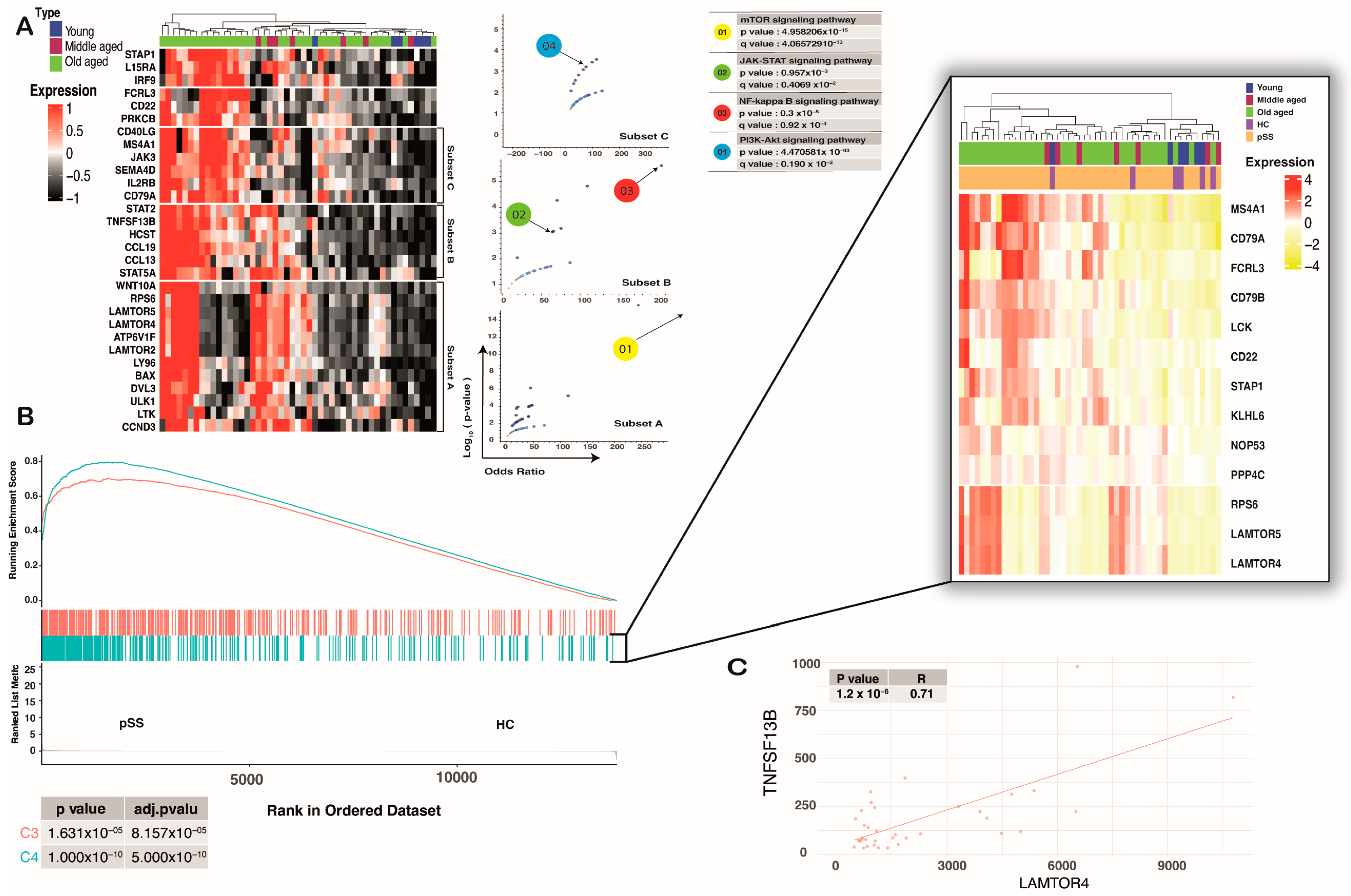 Ijms 24 08385 g003 Ijms 24 08385 g003