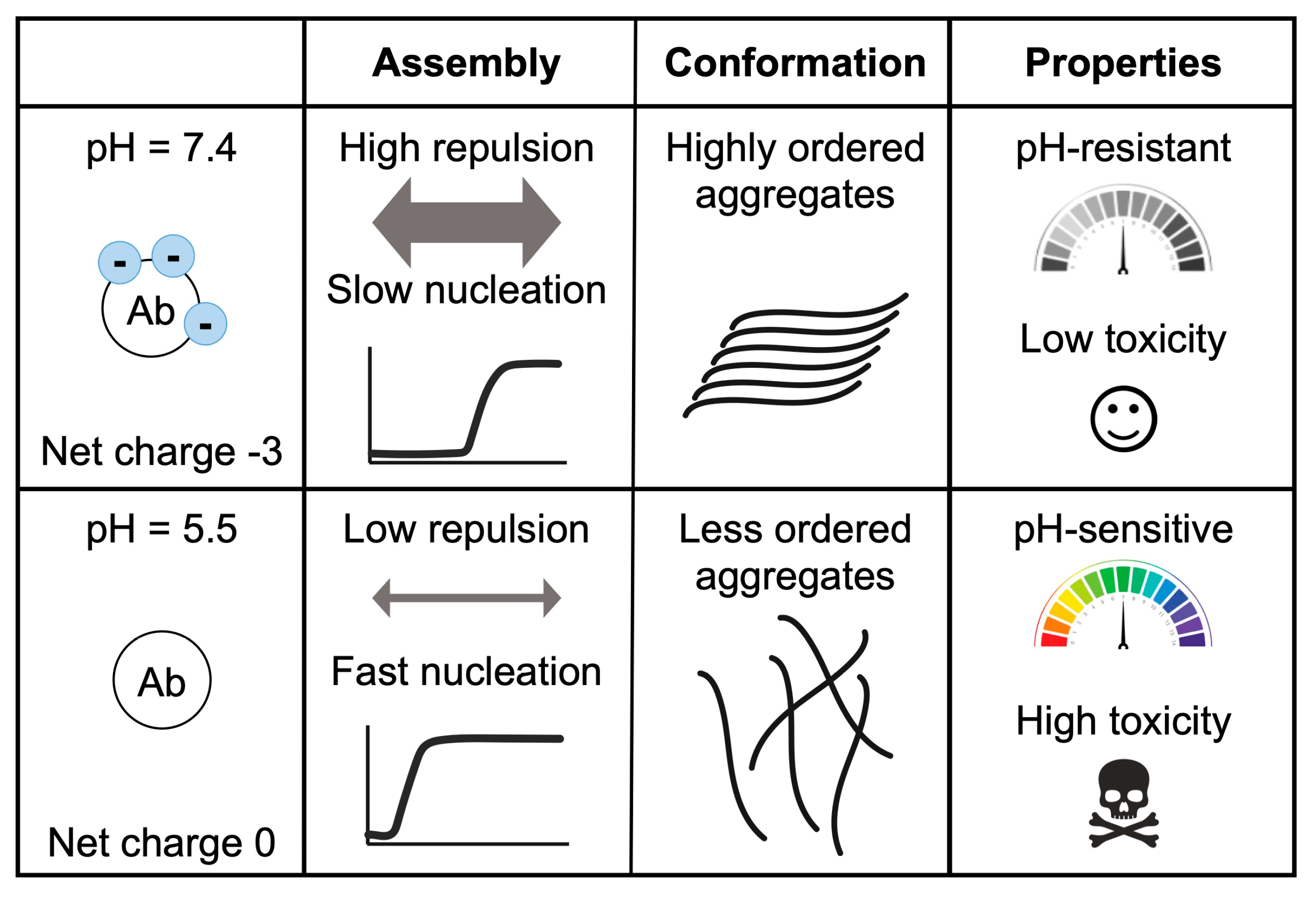 Ijms 24 08408 g004 Ijms 24 08408 g004