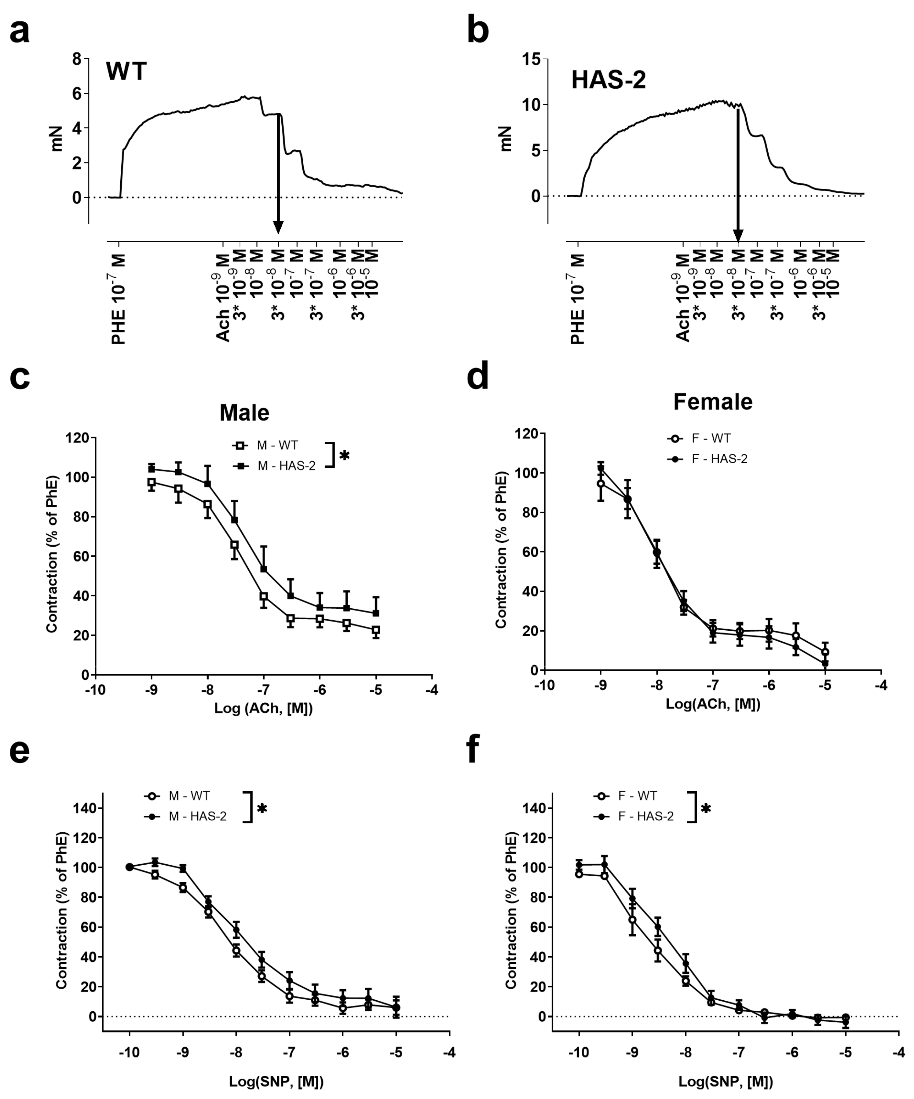 Ijms 24 08436 g003 Ijms 24 08436 g003
