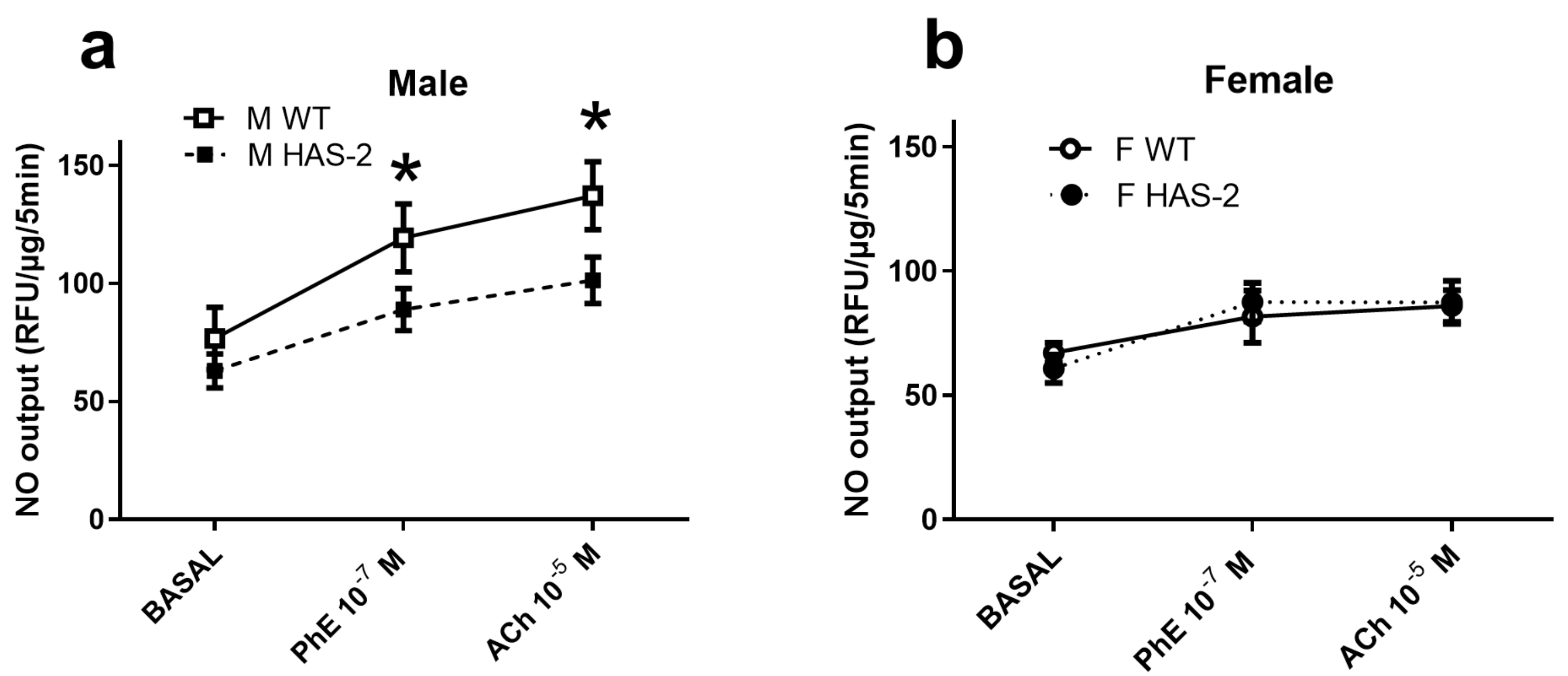 Ijms 24 08436 g004 Ijms 24 08436 g004