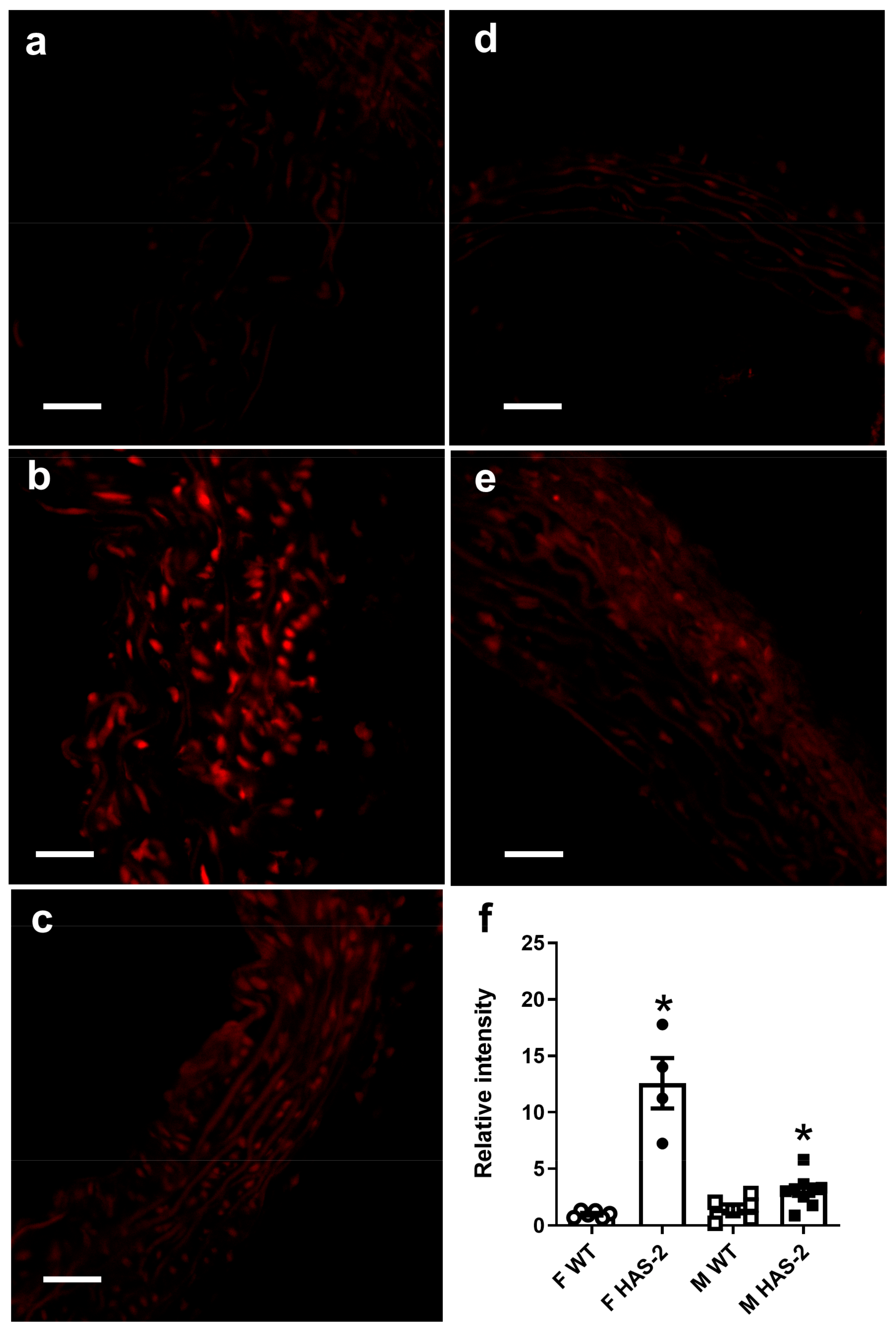 Ijms 24 08436 g006 Ijms 24 08436 g006