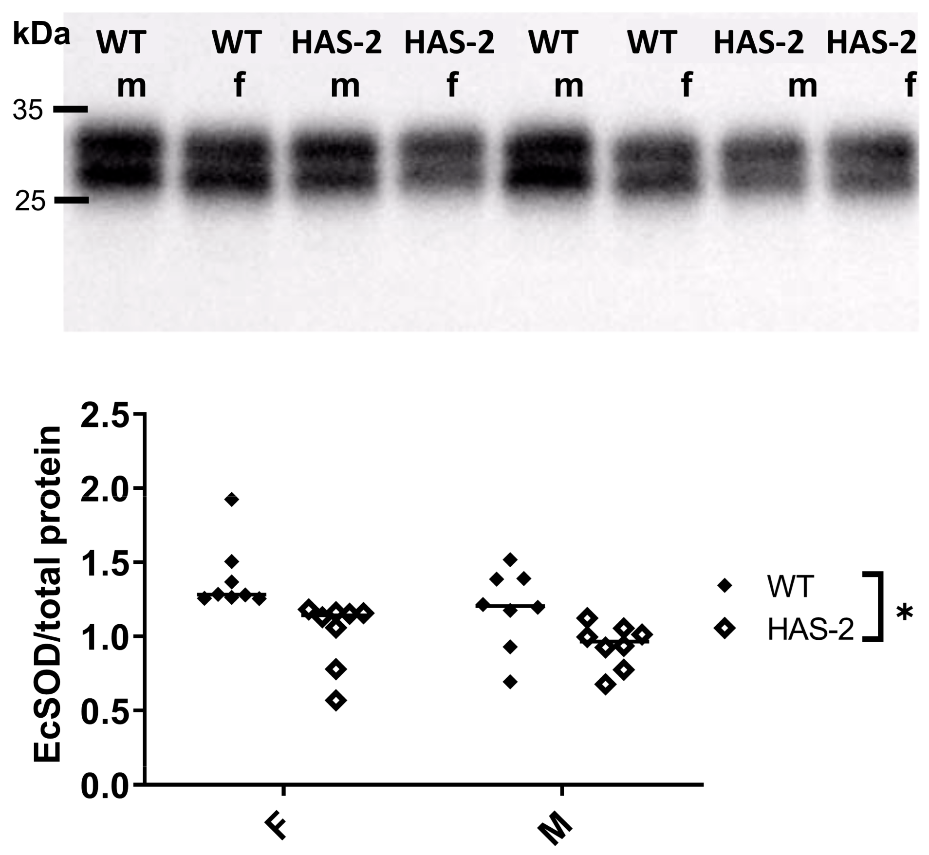 Ijms 24 08436 g007 Ijms 24 08436 g007