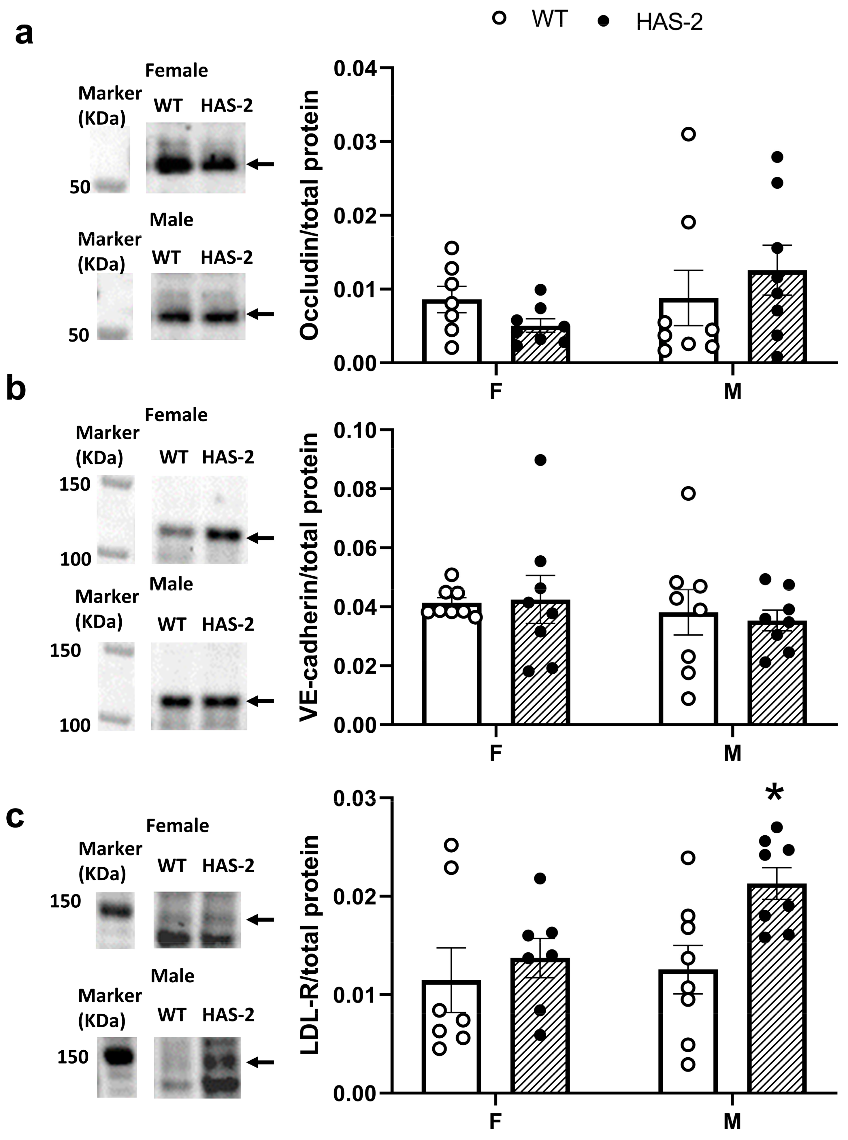 Ijms 24 08436 g009 Ijms 24 08436 g009