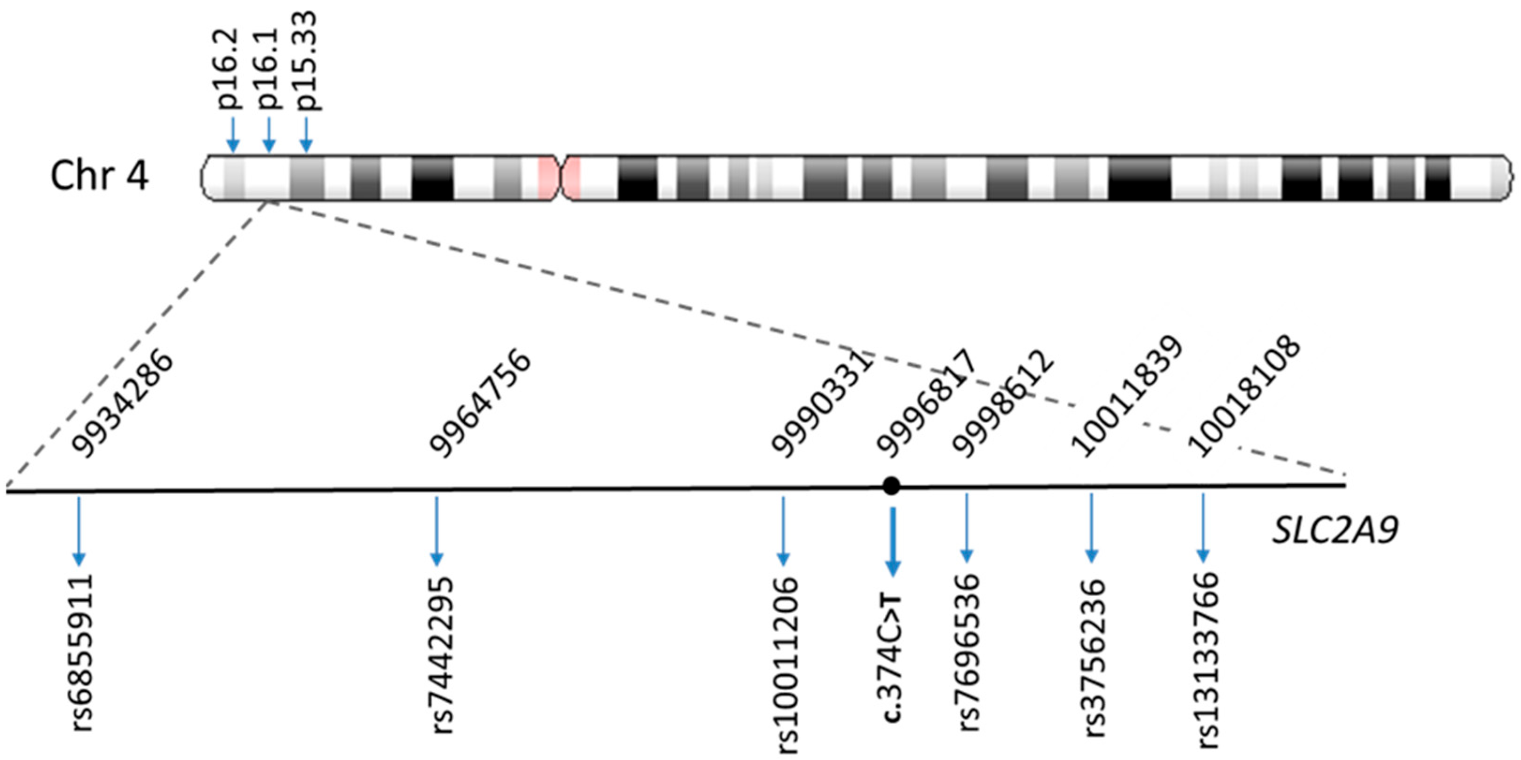 Ijms 24 08455 g002 Ijms 24 08455 g002