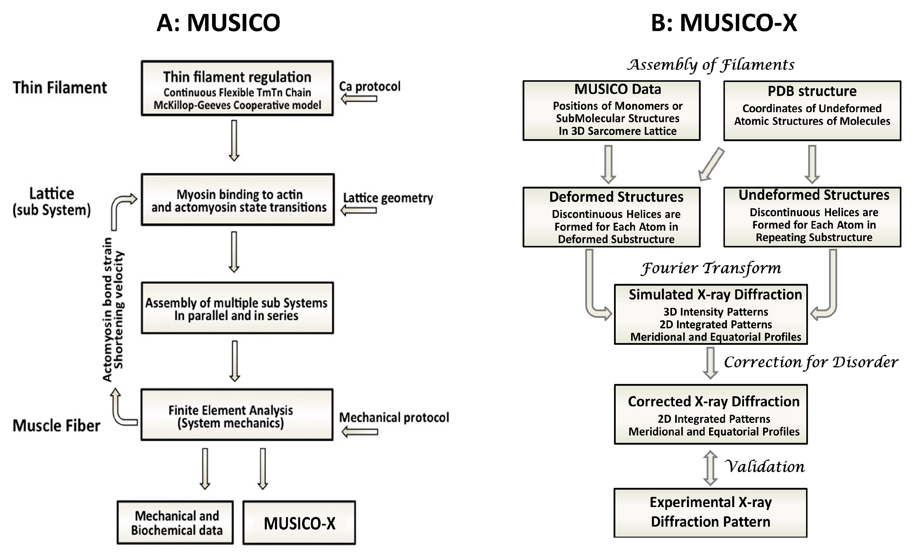 Ijms 24 08474 g003 Ijms 24 08474 g003