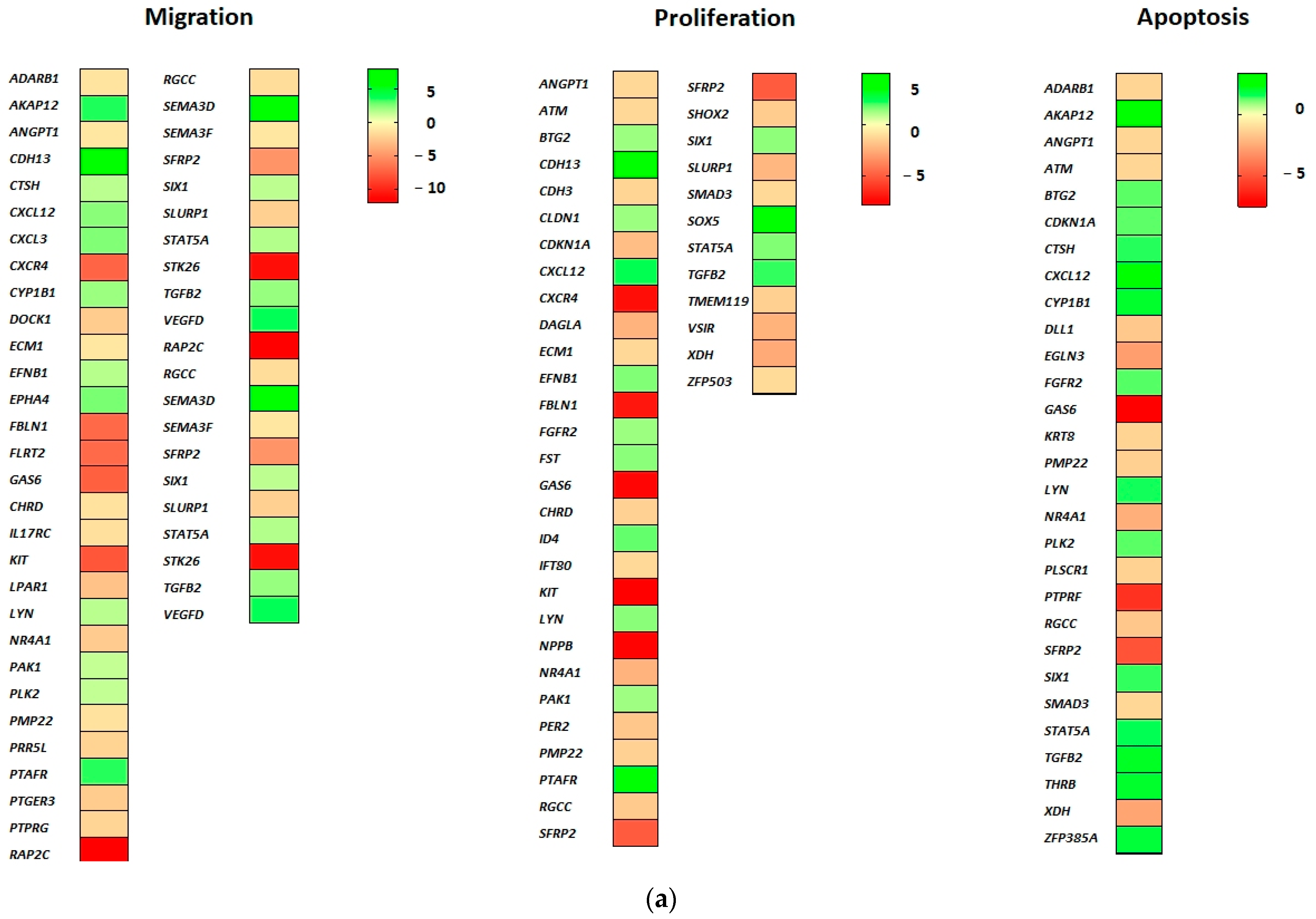 Ijms 24 08482 g003a Ijms 24 08482 g003a