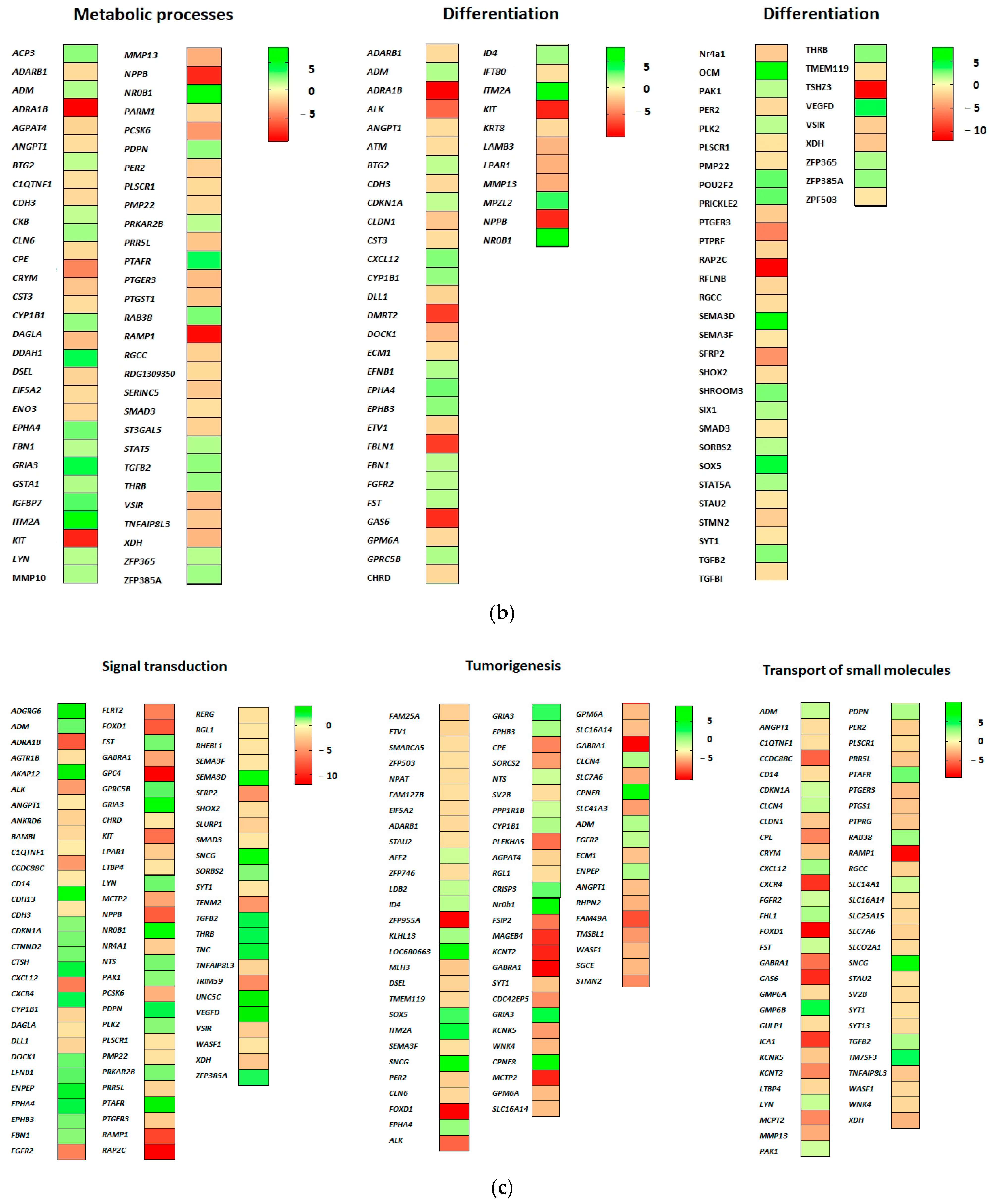 Ijms 24 08482 g003b Ijms 24 08482 g003b