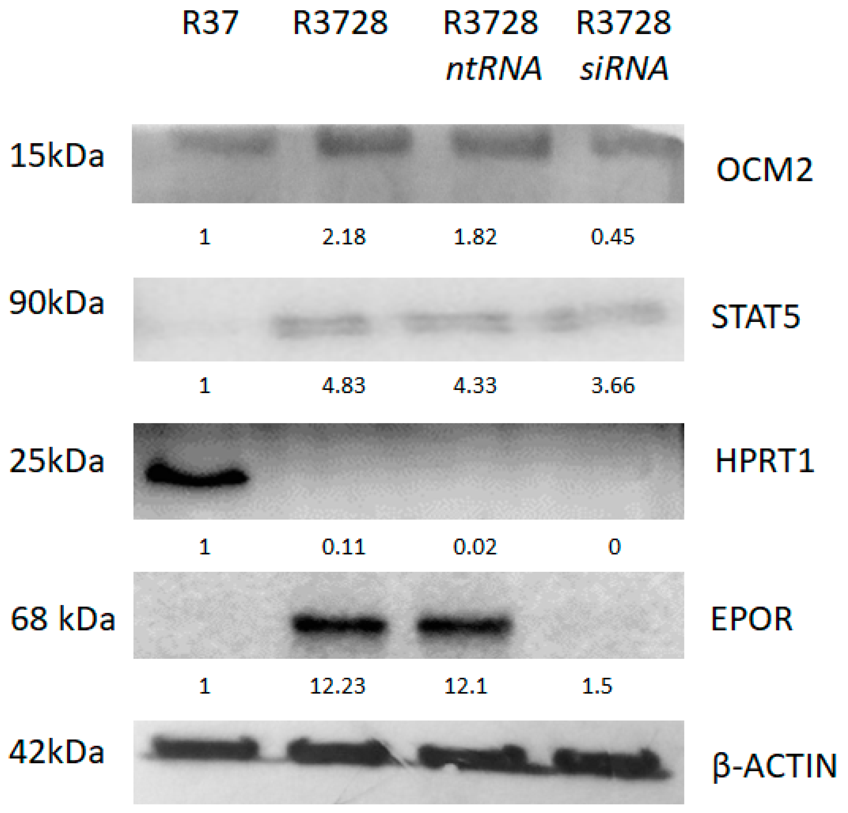 Ijms 24 08482 g004 Ijms 24 08482 g004