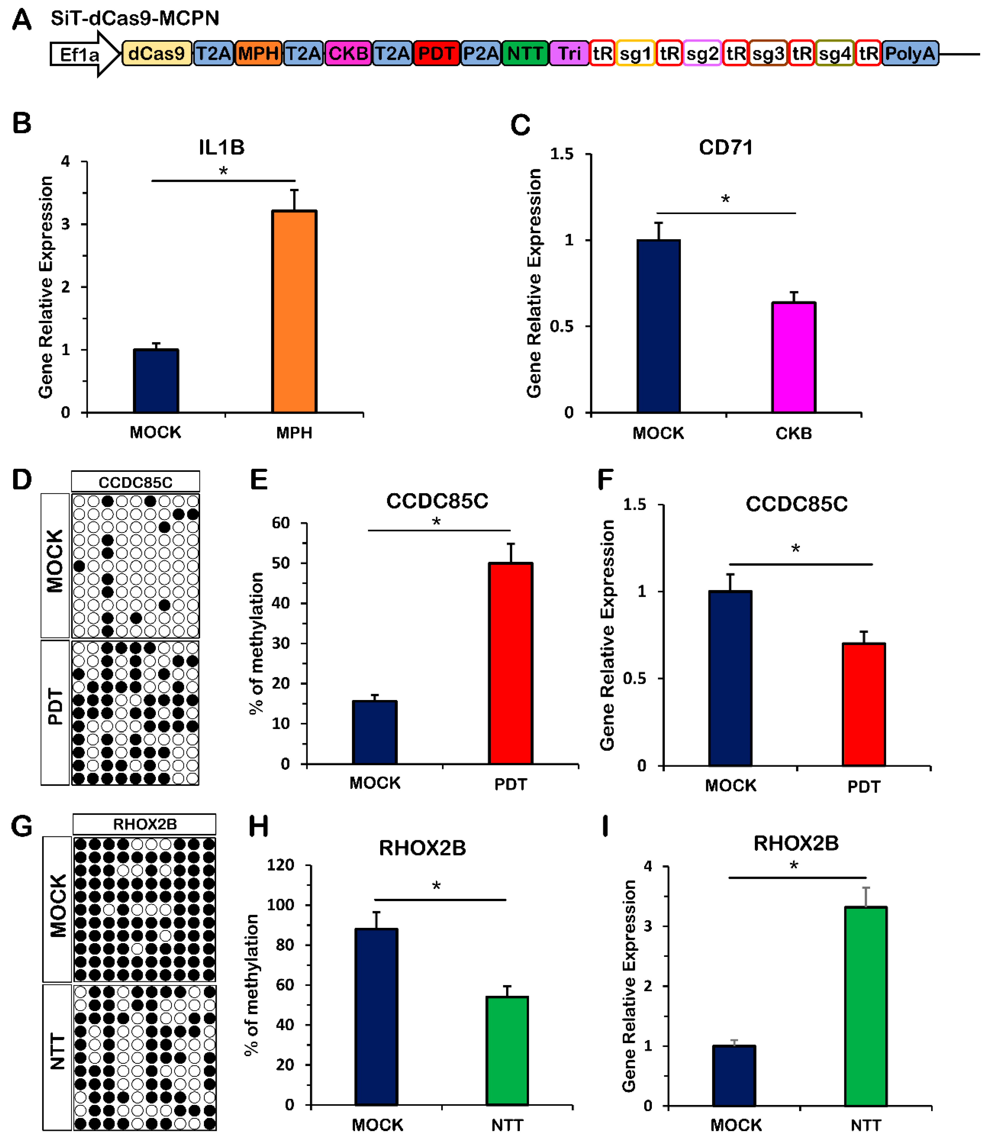 Ijms 24 08535 g003 Ijms 24 08535 g003