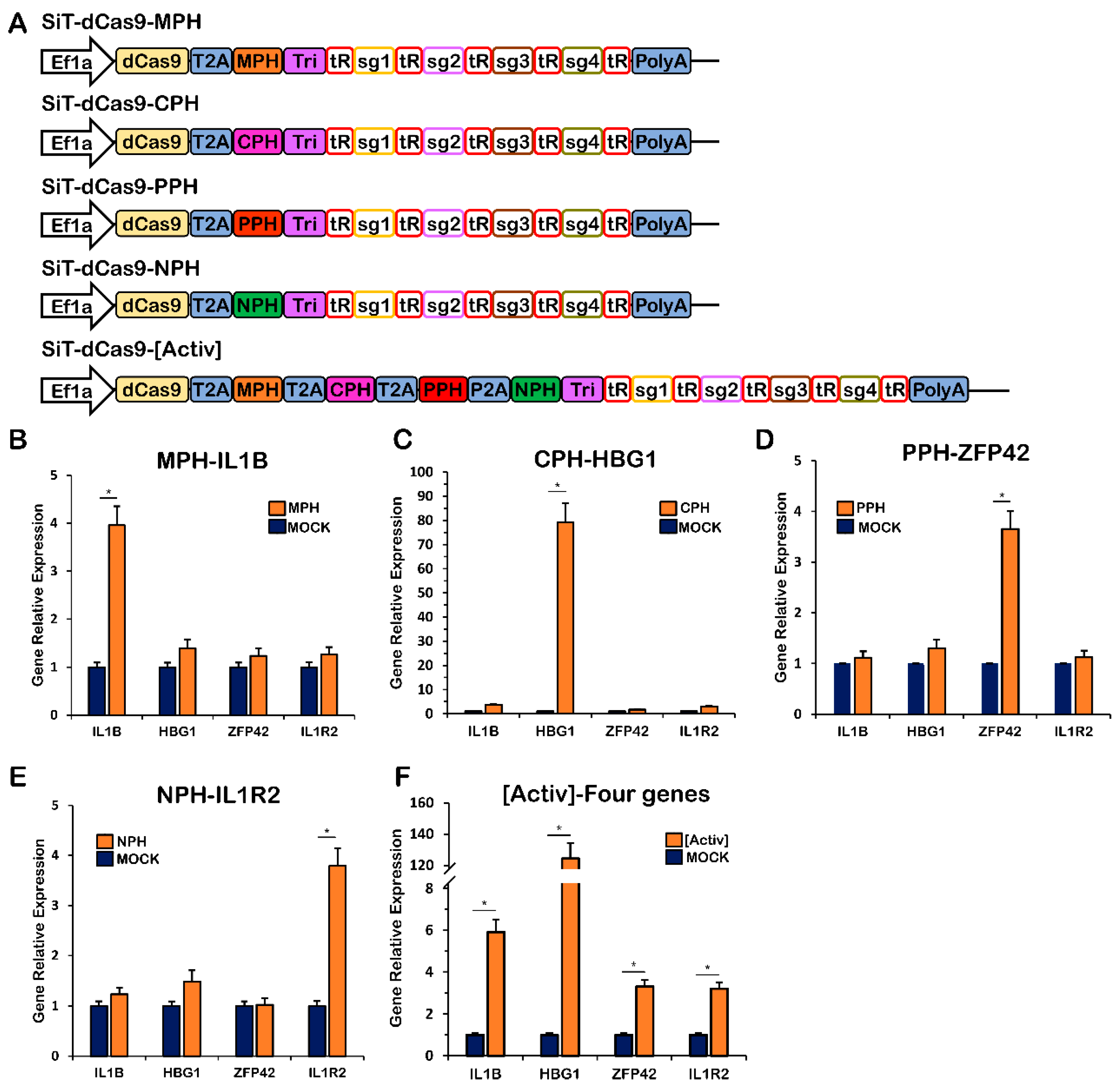 Ijms 24 08535 g004 Ijms 24 08535 g004