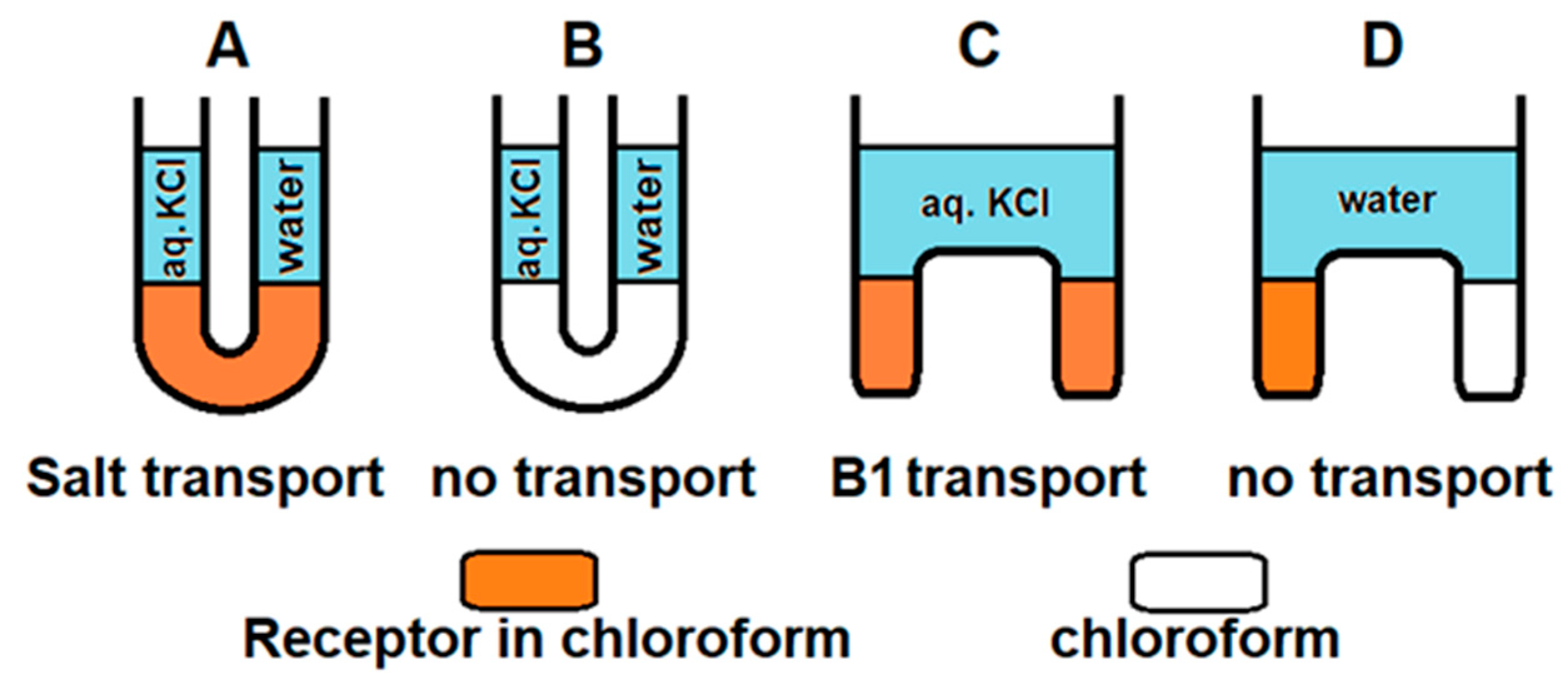 Ijms 24 08536 g007 Ijms 24 08536 g007