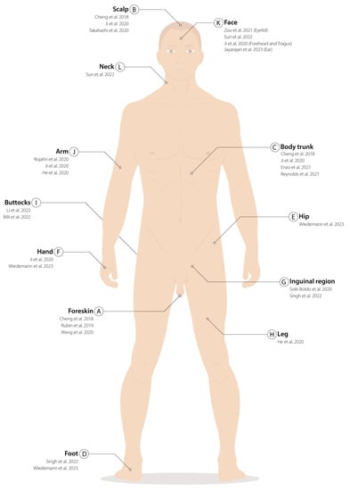 Ijms 24 08544 g001 Ijms 24 08544 g001