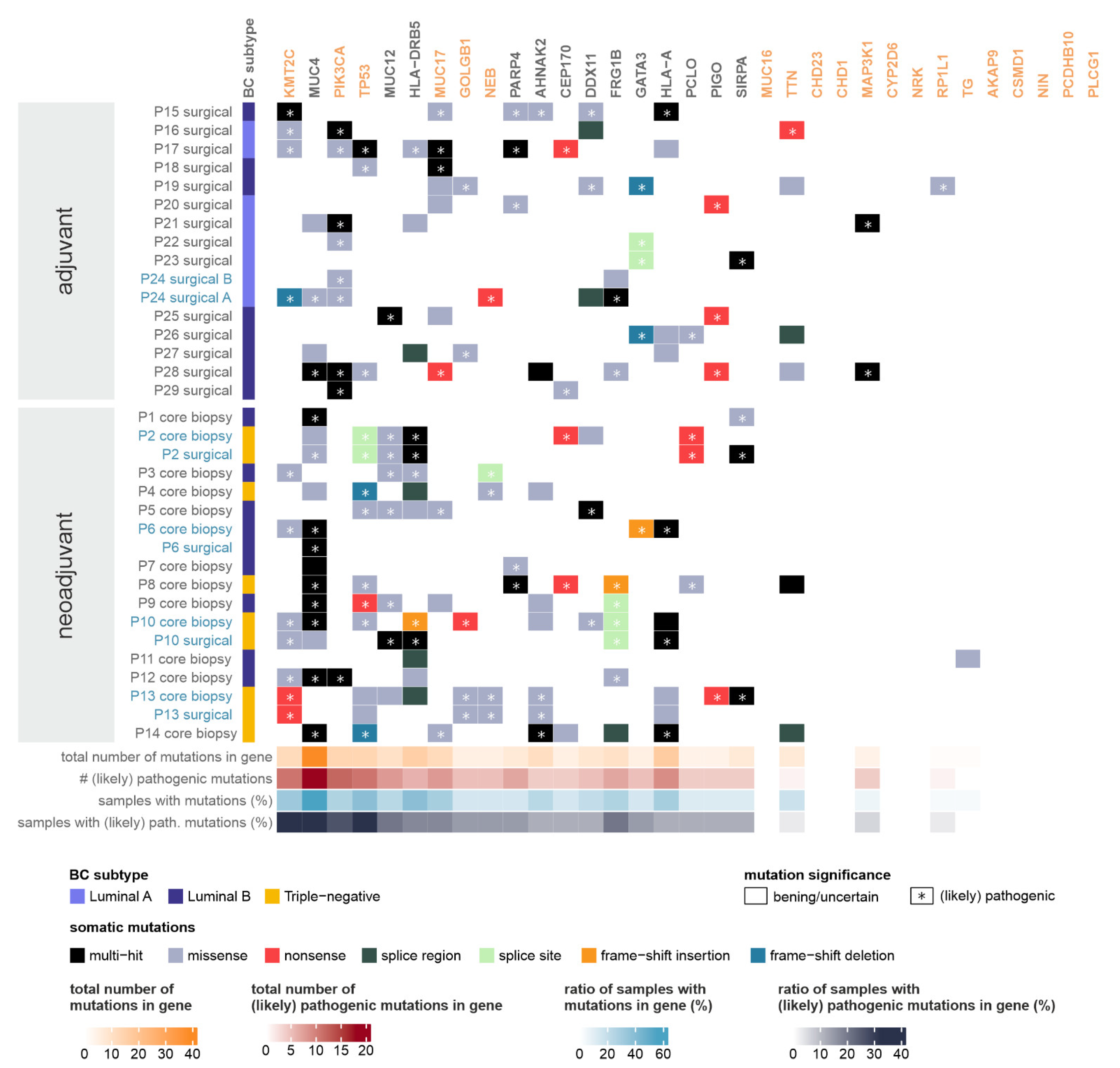 Ijms 24 08553 g002 Ijms 24 08553 g002